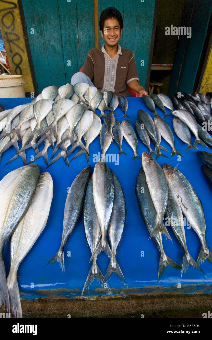 Selling Fish in the Market in Rantepao on Sulawesi in Indonesia Stock