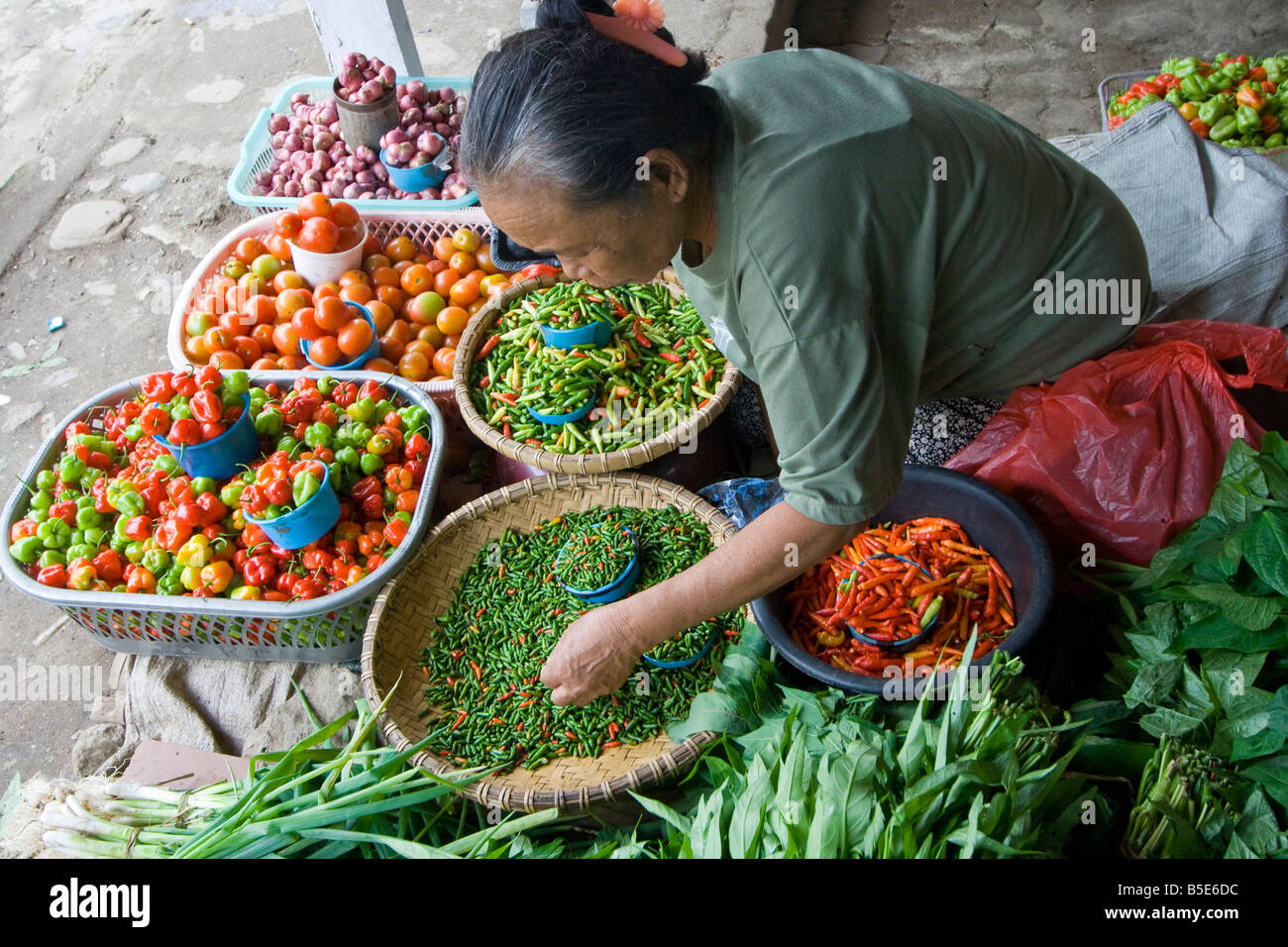 Woman Sorting Chili in the Market in Rantepao on Sulawesi in Indonesia Stock Photo