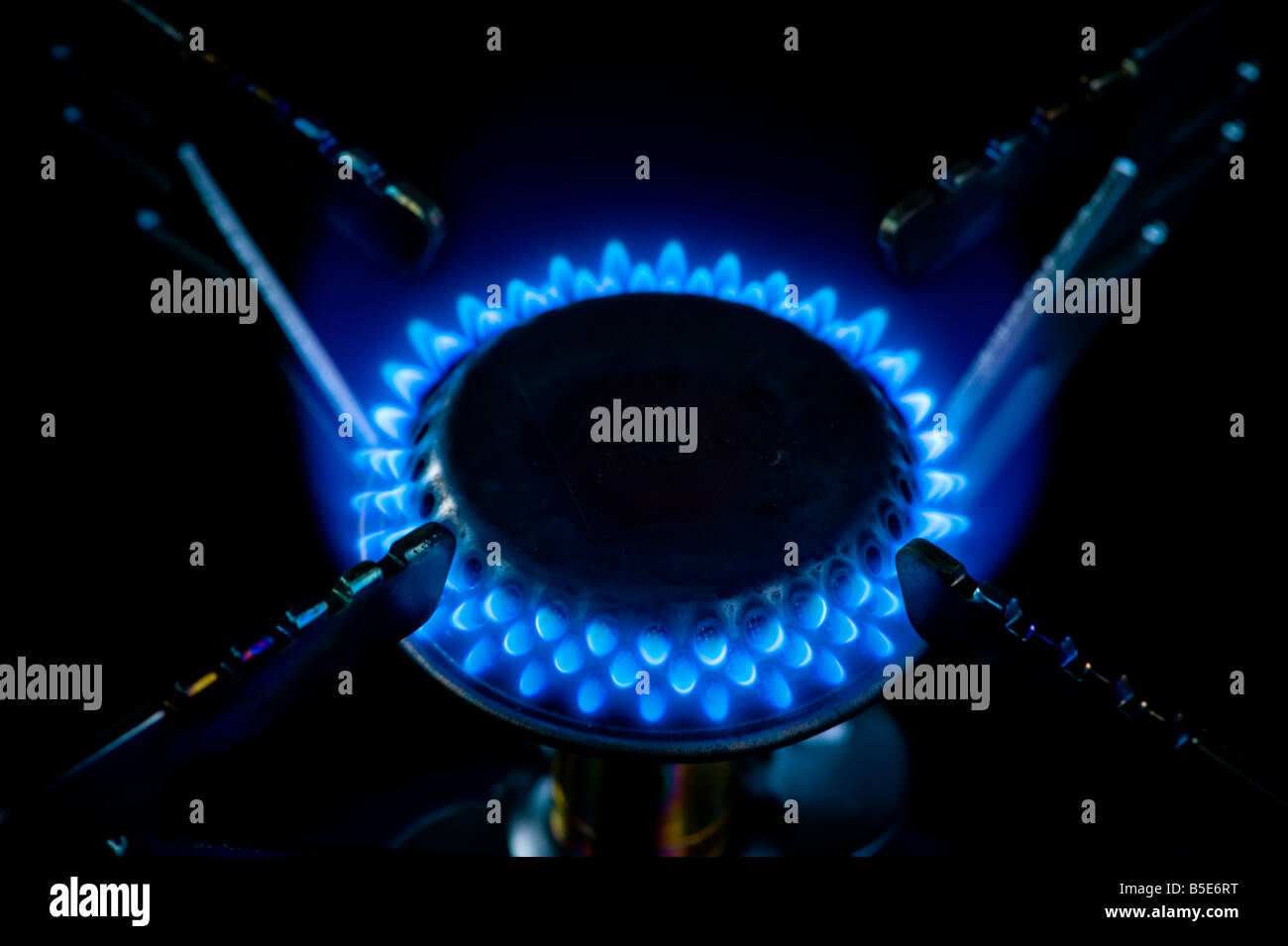 Closeup of blue gas flames on a domestic cooker, on a black background. Stock Photo