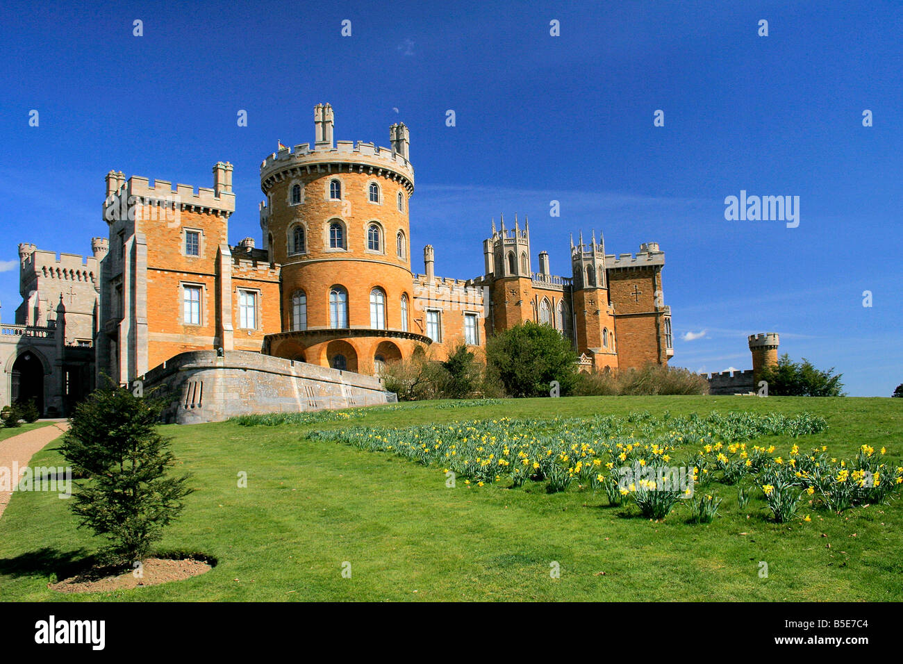 Belvoir Castle Spring Daffodil Flowers Landscape Leicestershire County England UK Stock Photo
