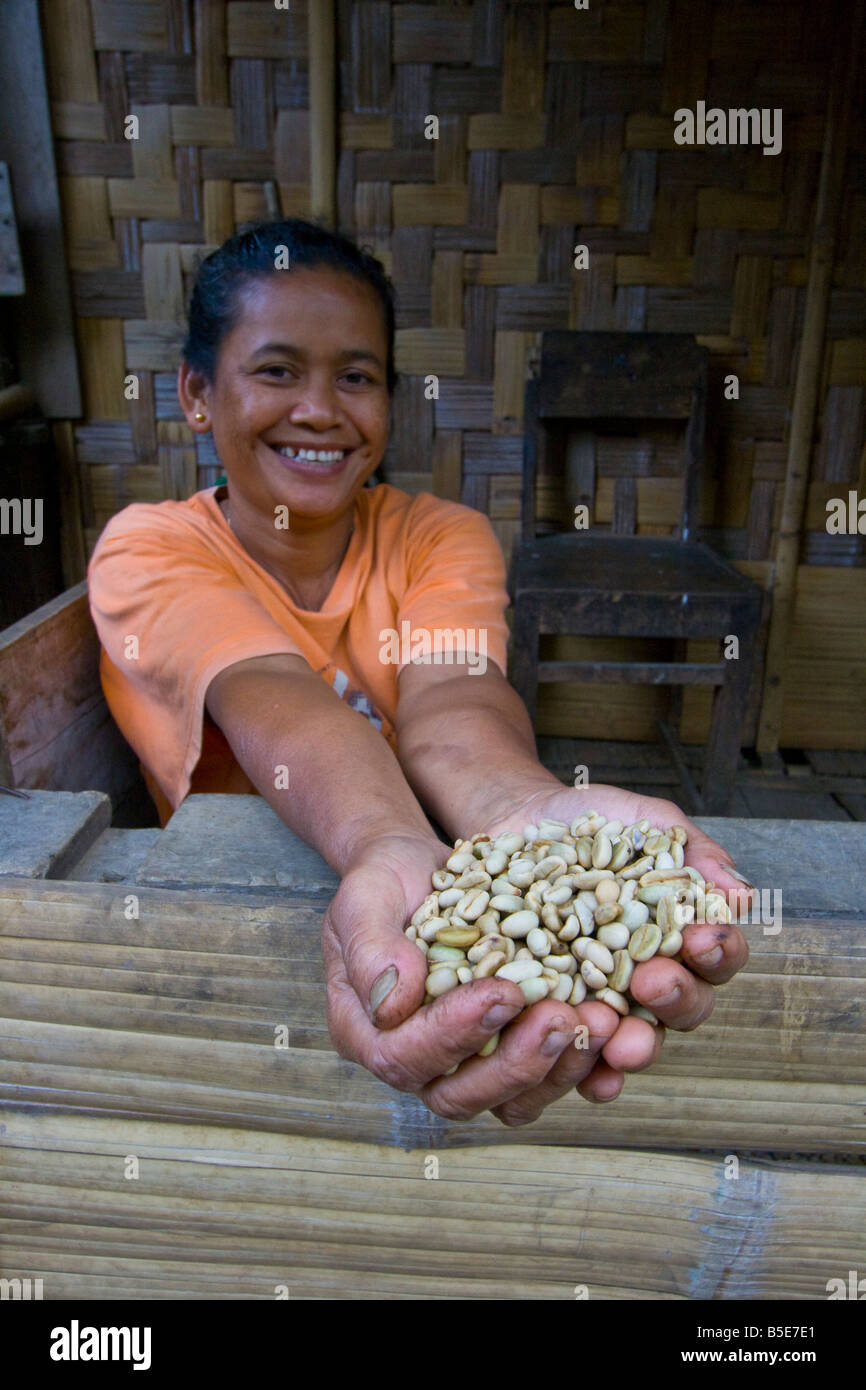 Woman Displaying Sulawesi Coffee Beans in Rantepao on Sulawesi in Indonesia Stock Photo