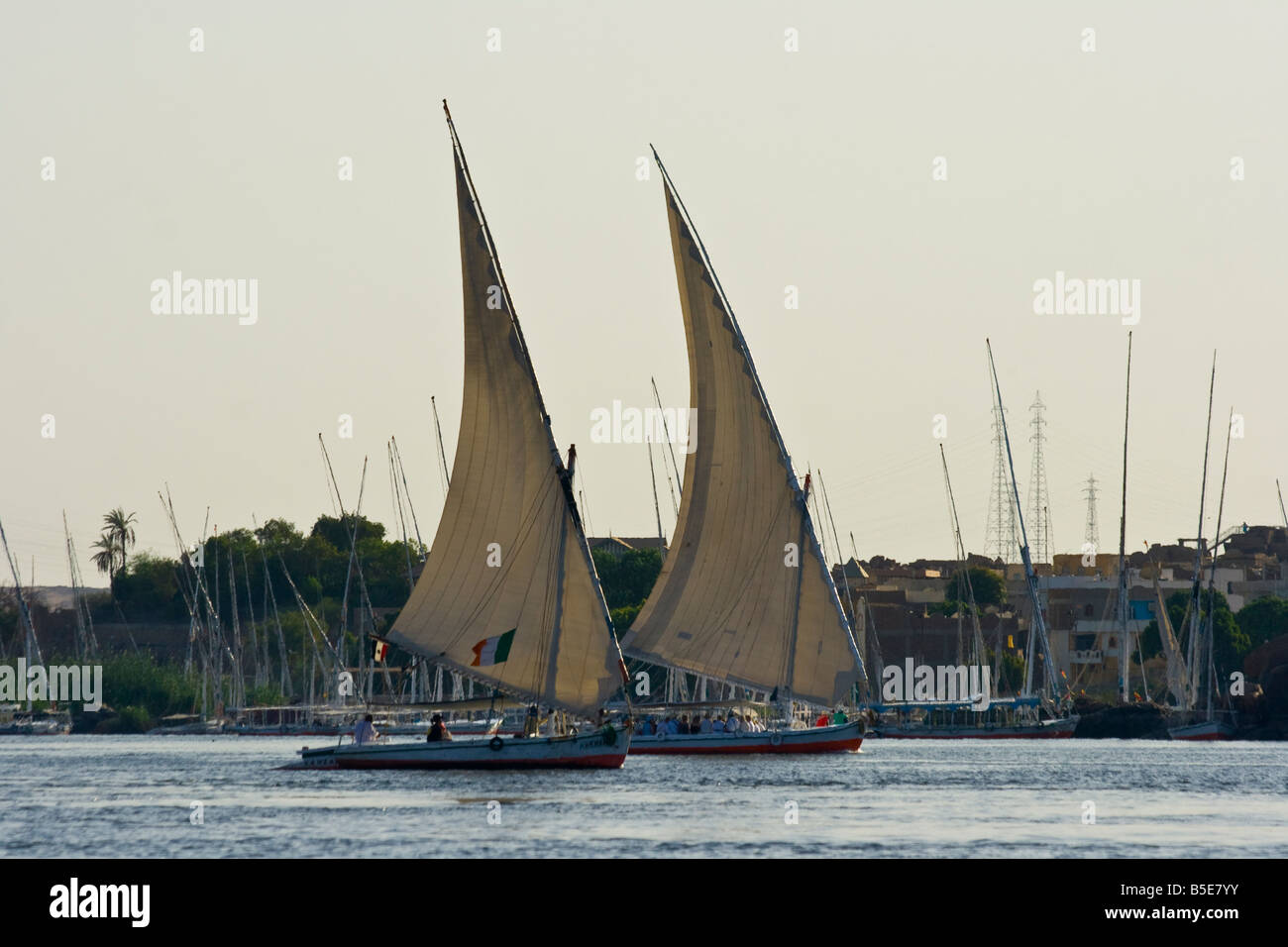 Felucca Sailboats on the Nile River in Aswan Egypt Stock Photo - Alamy