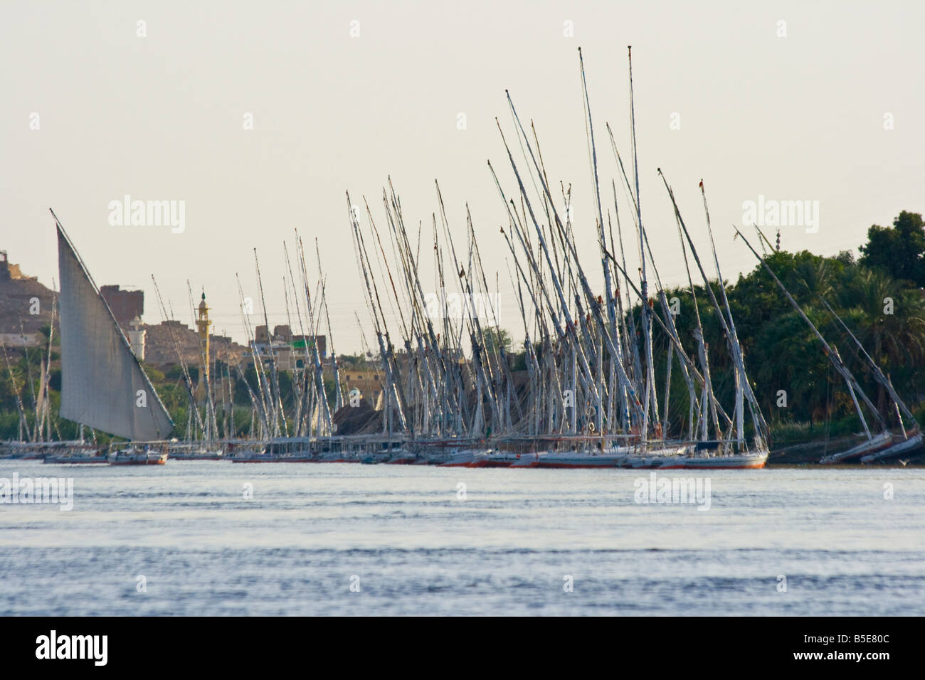 Felucca Sailboats on the Nile River in Aswan Egypt Stock Photo - Alamy