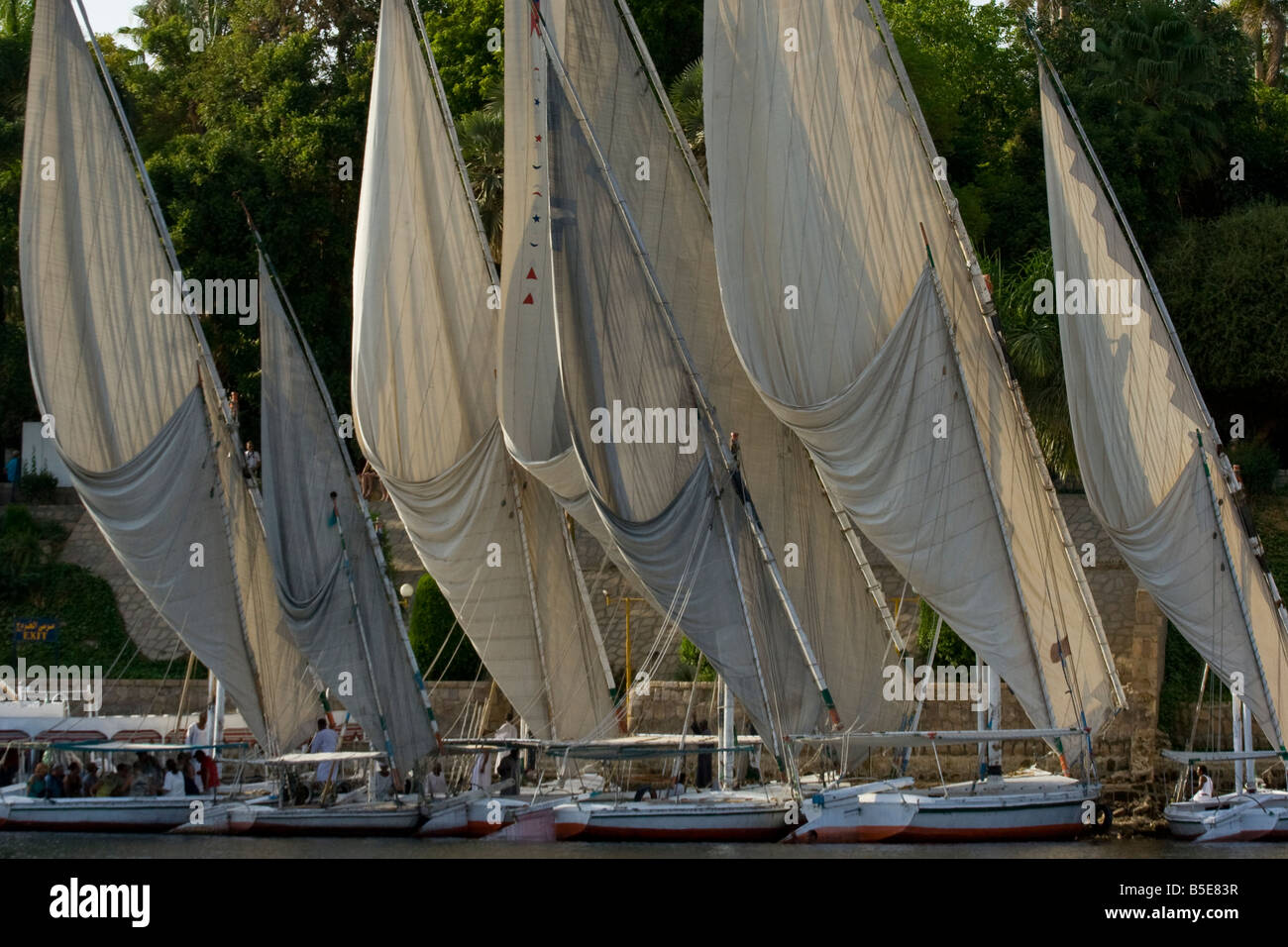 Felucca Sailboats Docked on the Nile River in Aswan Egypt Stock Photo