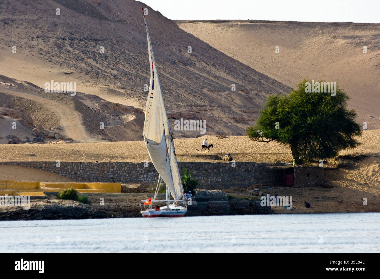 Felucca Sailboat on the Nile River in Aswan Egypt Stock Photo - Alamy