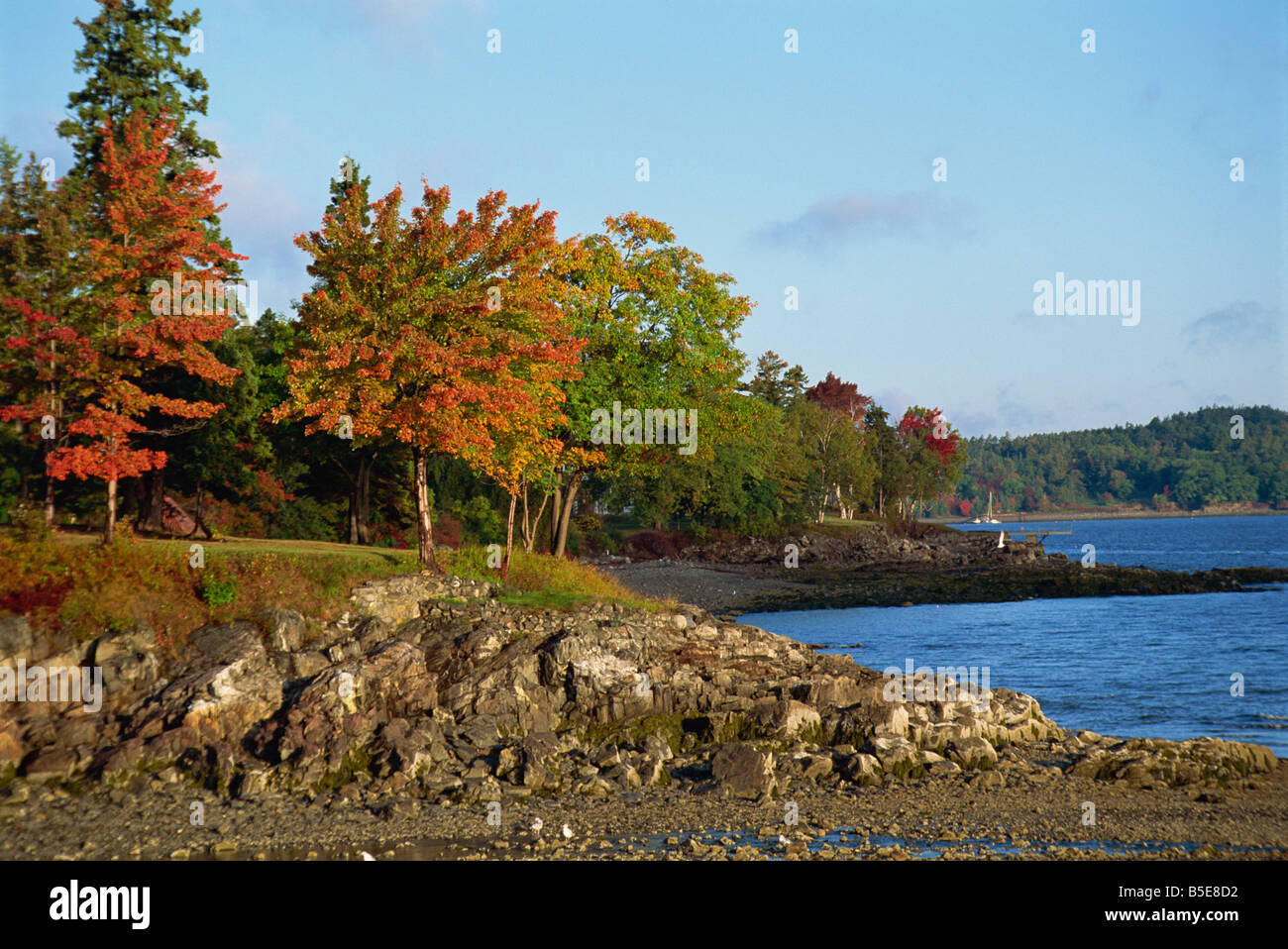 Rocky shoreline and trees in fall colours at the scenic harbour Bar Harbour Maine New England