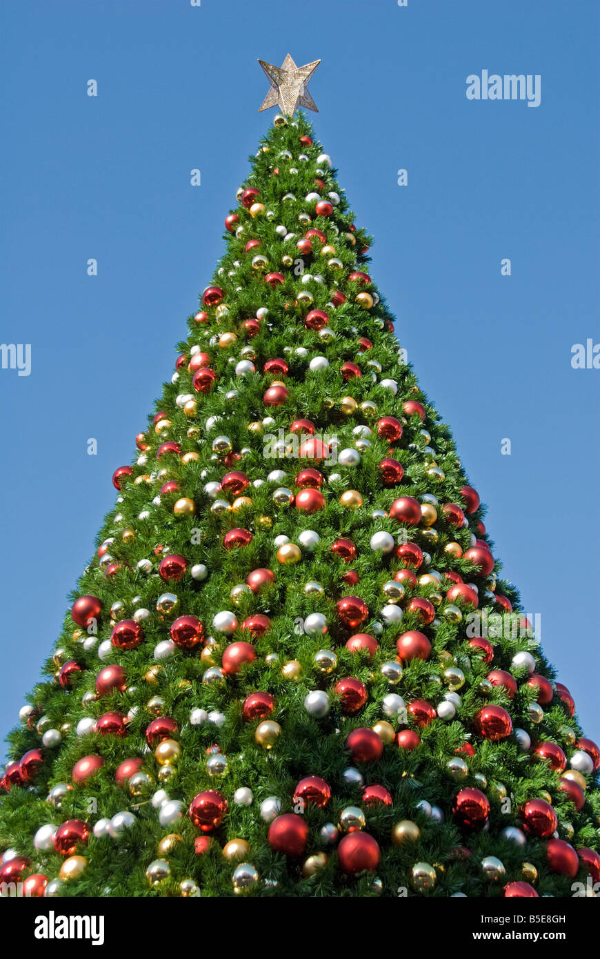 Decorated Christmas Tree xmas outdoor holiday, holidays vacationing