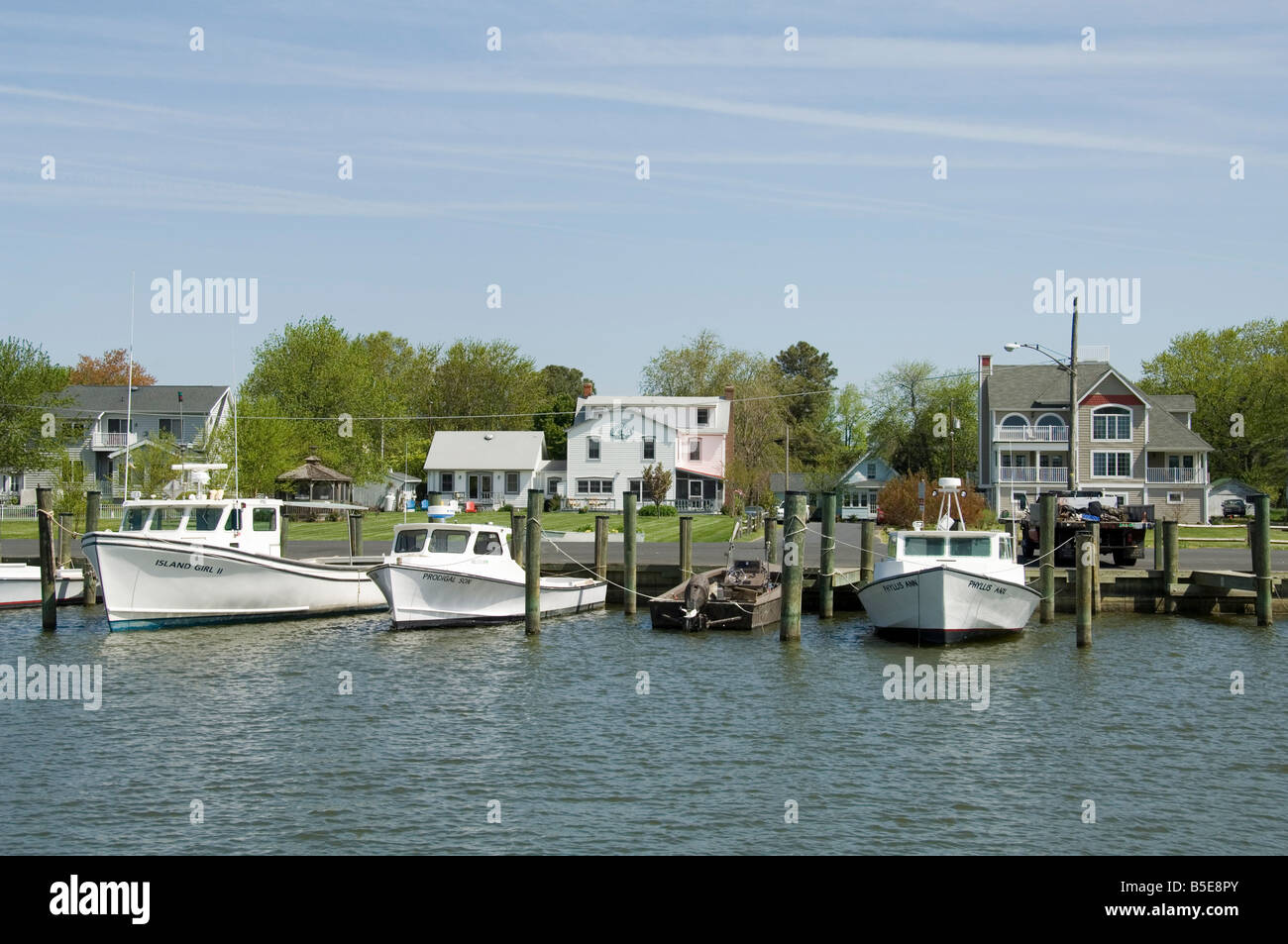 Dogwood Harbour, Tilghman Island, Talbot County, Chesapeake Bay area, Maryland, USA, North America Stock Photo
