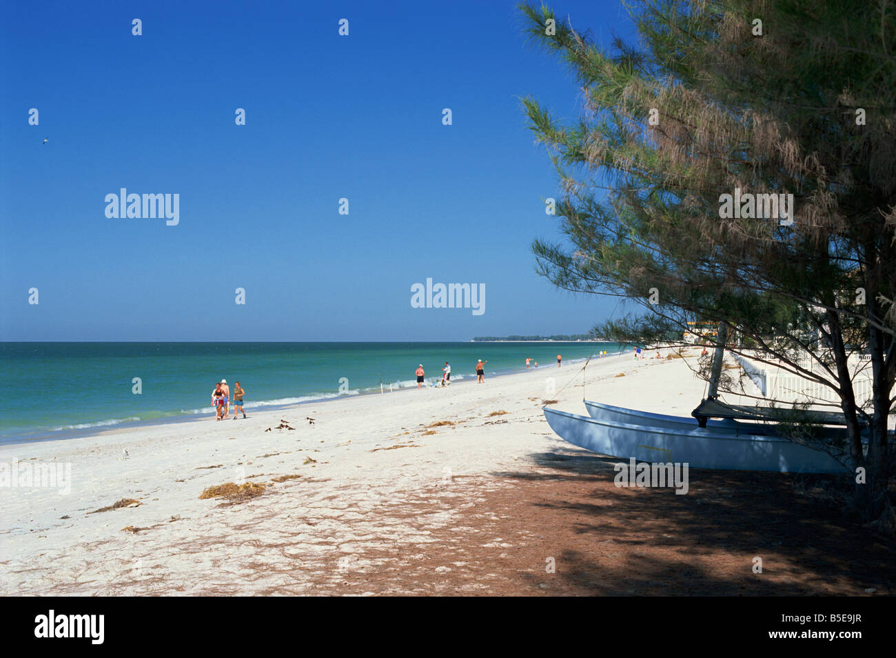 Beach north of Longboat Key, Anna Maria Island, Gulf Coast, Florida