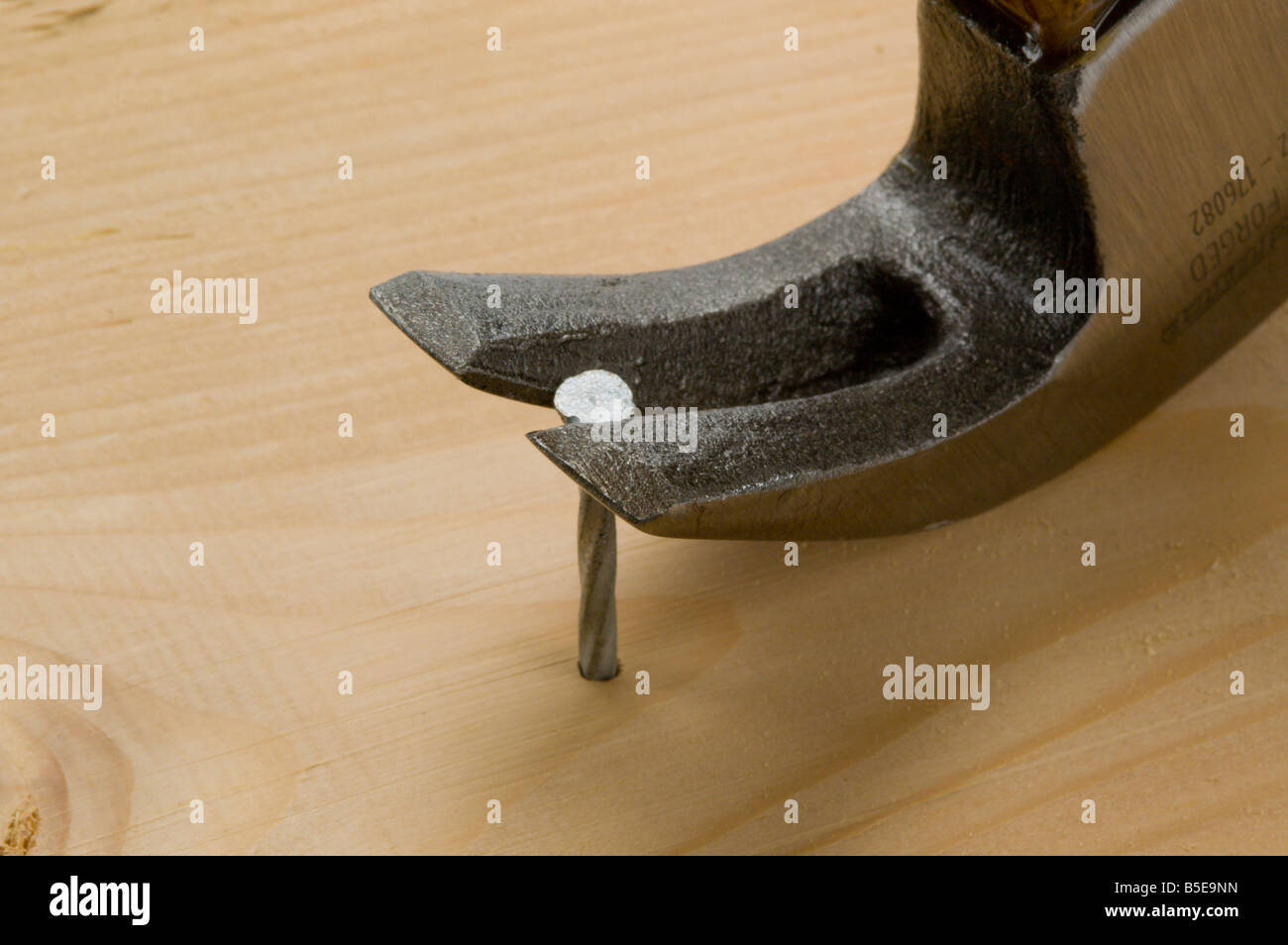 Claw hammer pulling nail out of wood Stock Photo Alamy