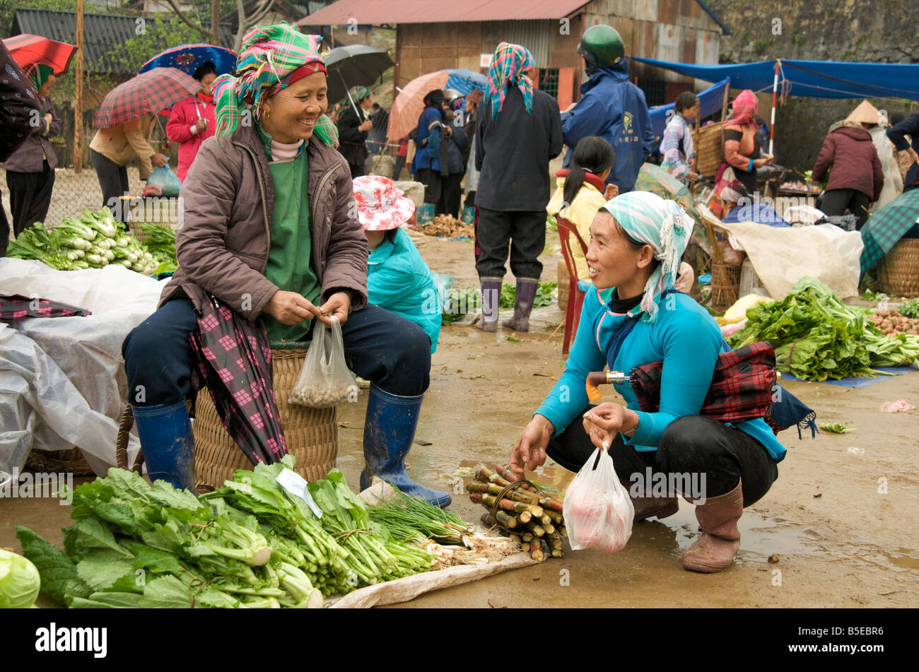 Two happy tribal women laughing on a fresh vegetable stall in Sapa Northern Vietnamese market Stock Photo