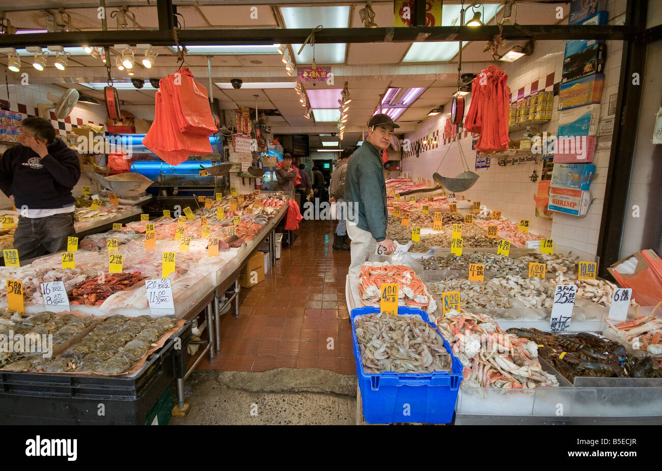 Fish shop in Canal street Chinatown New York USA Stock Photo Alamy
