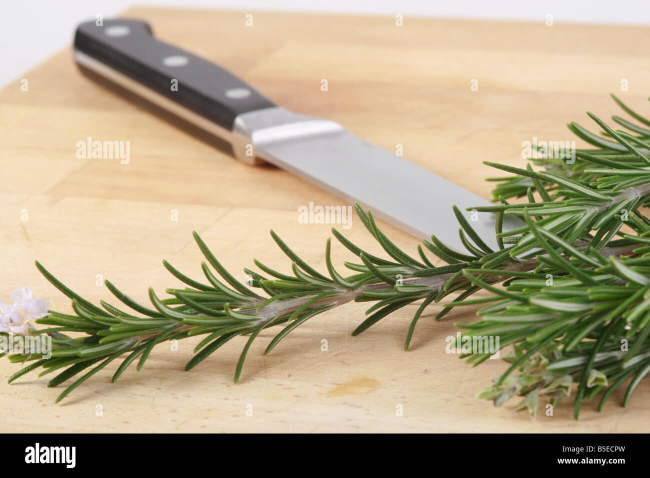 rosemary knife Stock Photo