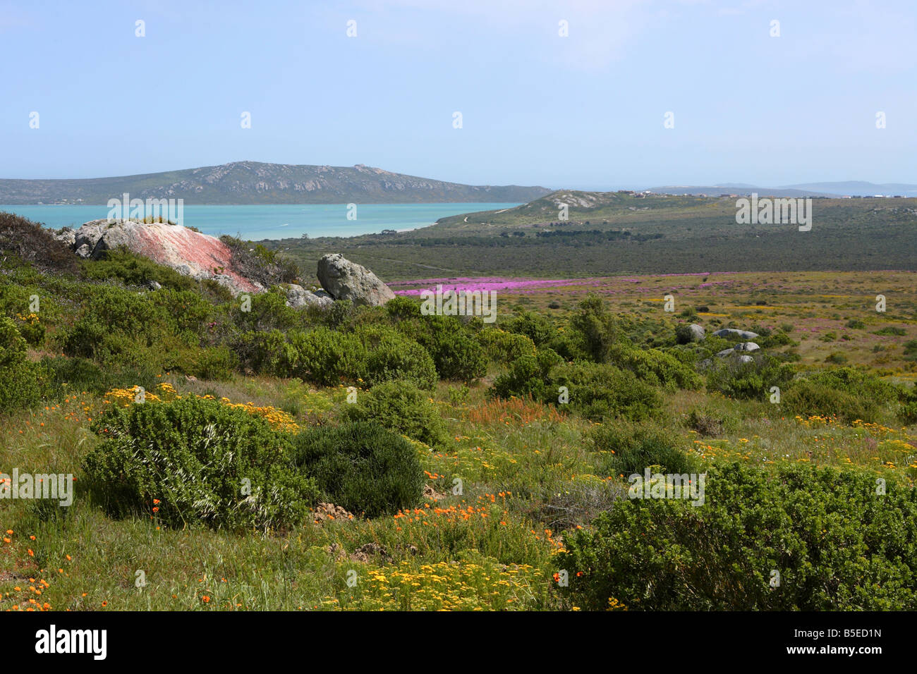 Landscape View out to Langebaan Lagoon Beach - West Coast National Park ...