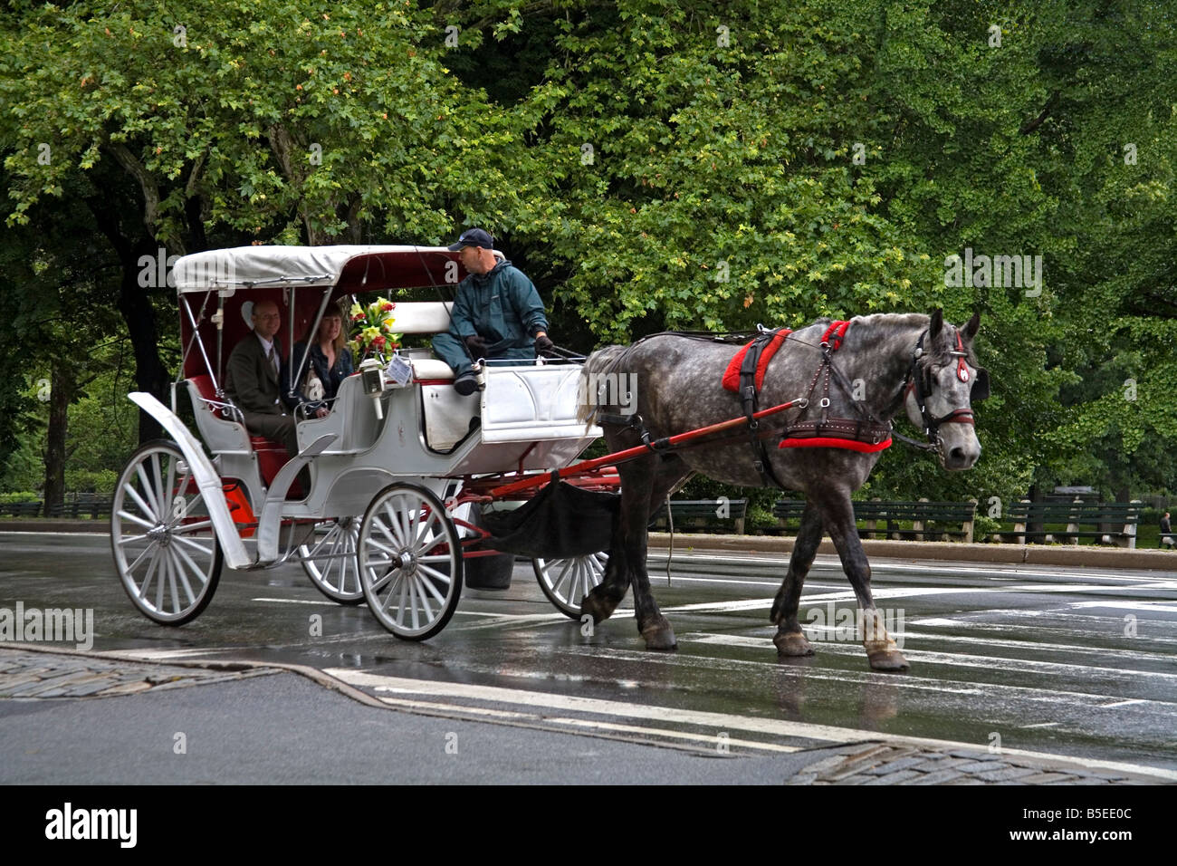 Horse carriage in Central Park, New York City, New York, USA, North America Stock Photo