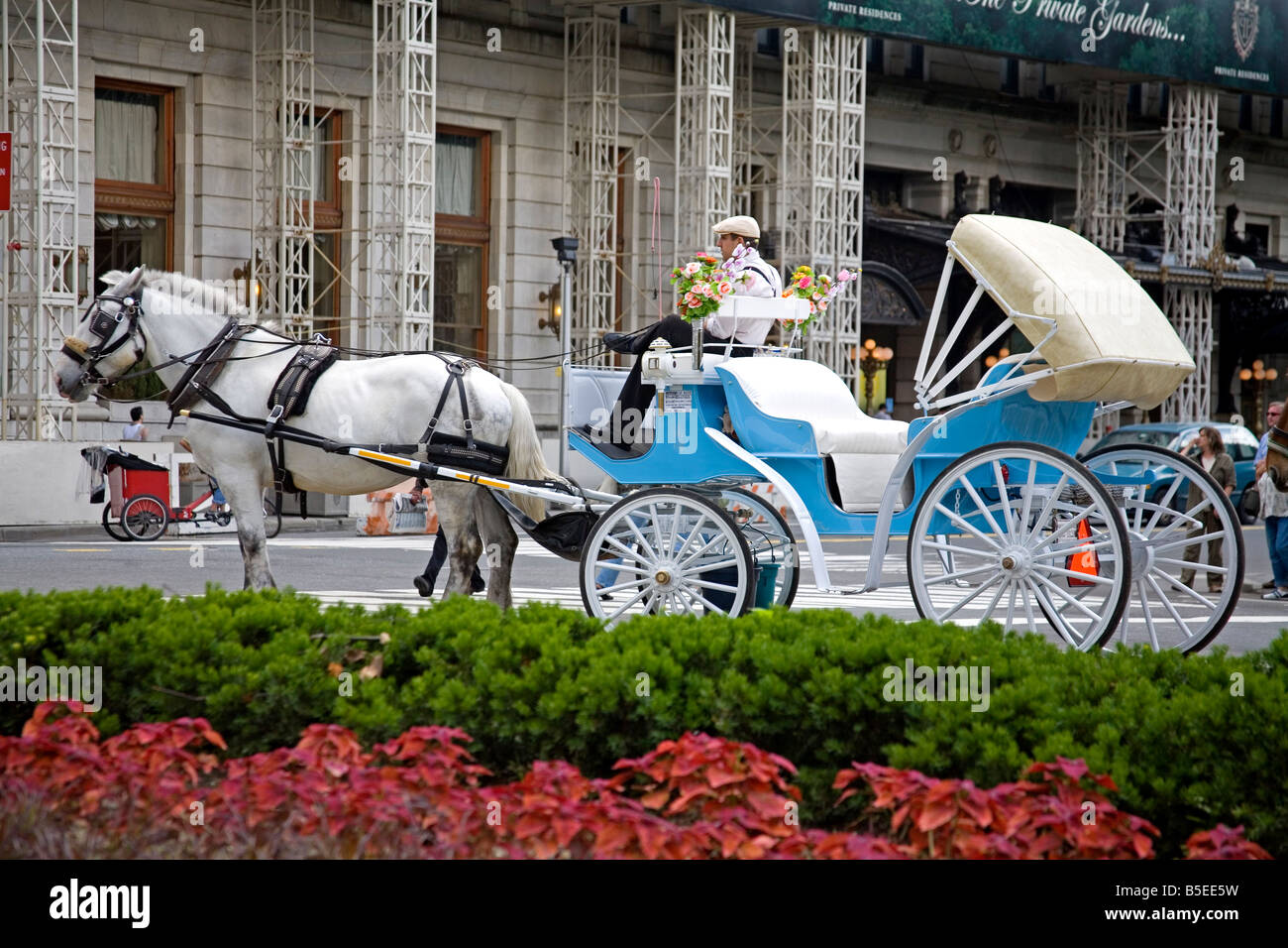 Horse carriage, Central Park, New York City, New York, USA, North America Stock Photo