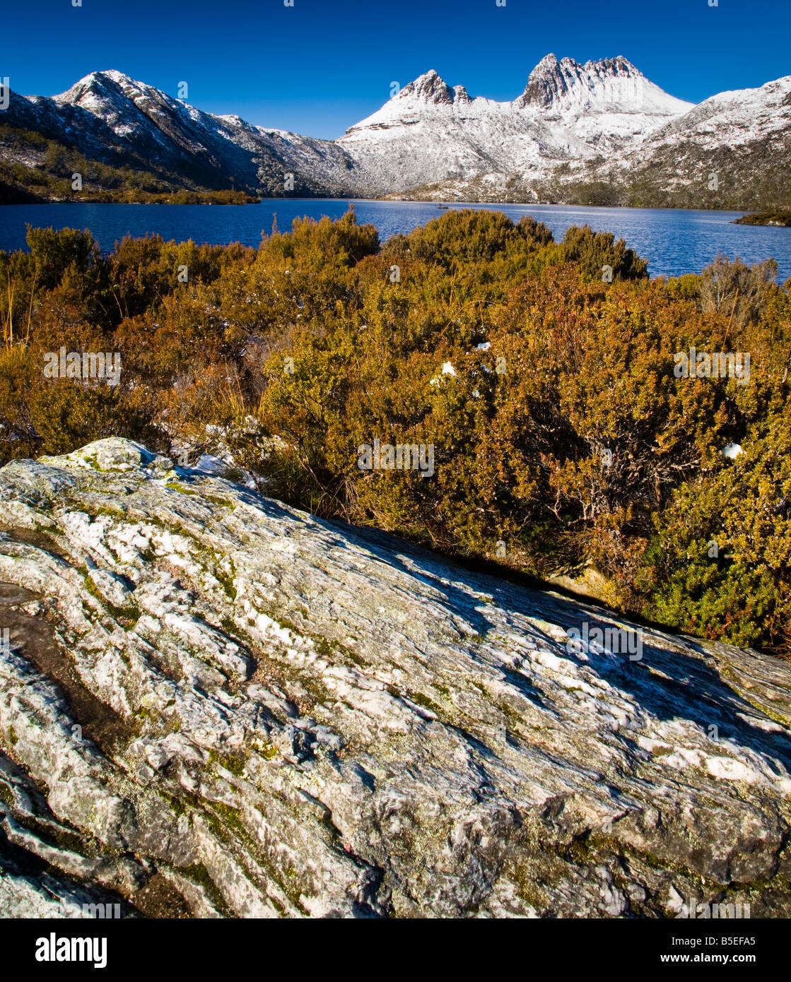Australia Tasmania Cradle Mt Lake St Clair National Park Native bush alongside Dove Lake with Cradle Mountain Stock Photo