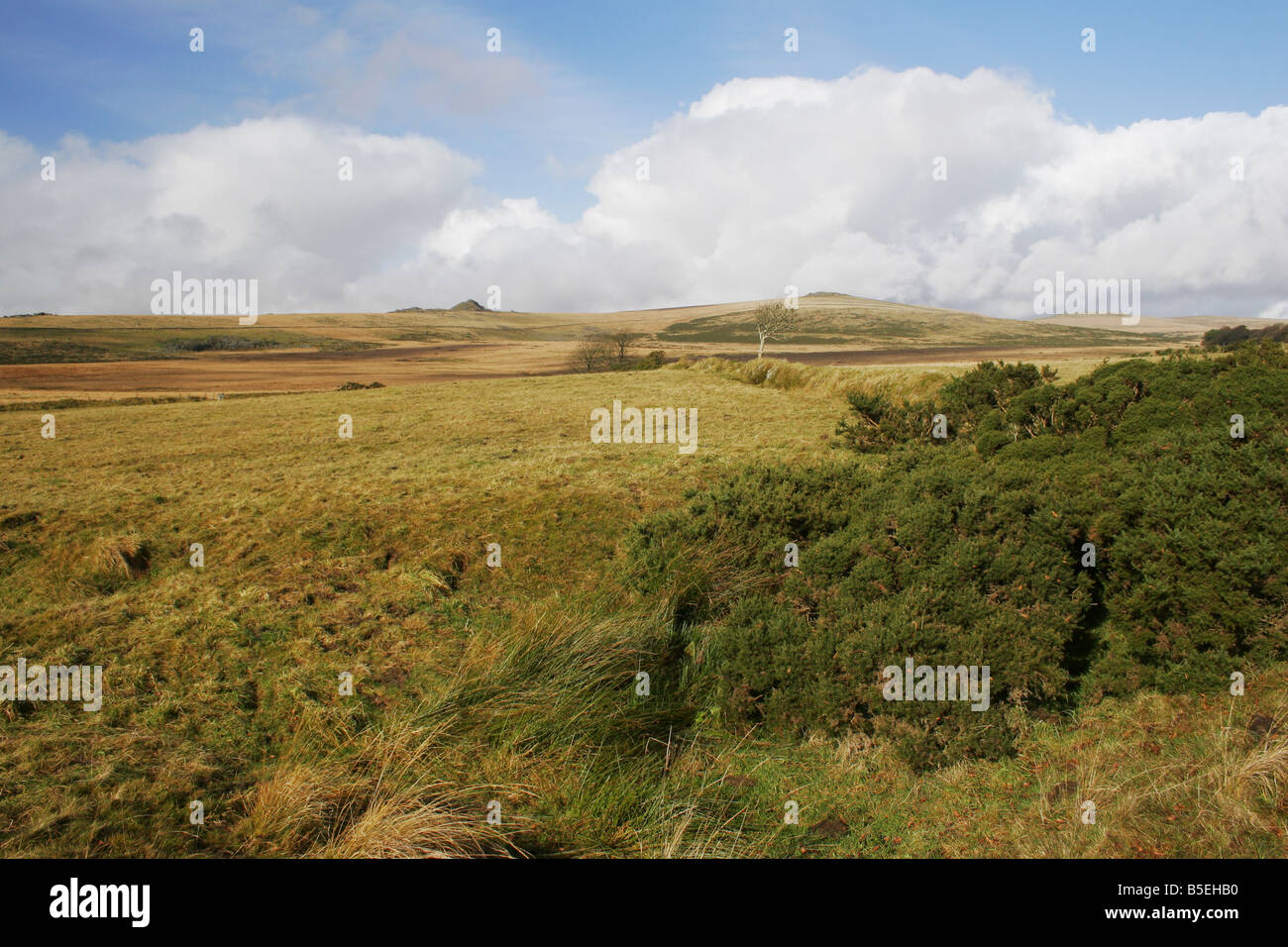 Dartmoor moors and tors Devon Stock Photo