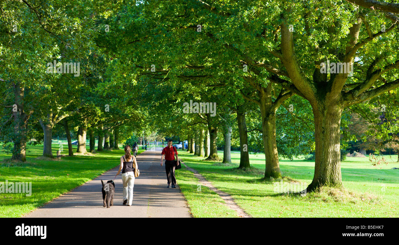 Walkers on a tree lined avenue in Southampton Common Hampshire England