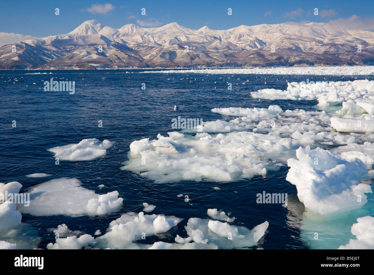 Hokkaido Japan: Ice floes in the Strait of Nemuro with the snow covered mountains of the Shiretoko Peninsula in the distance Stock Photo
