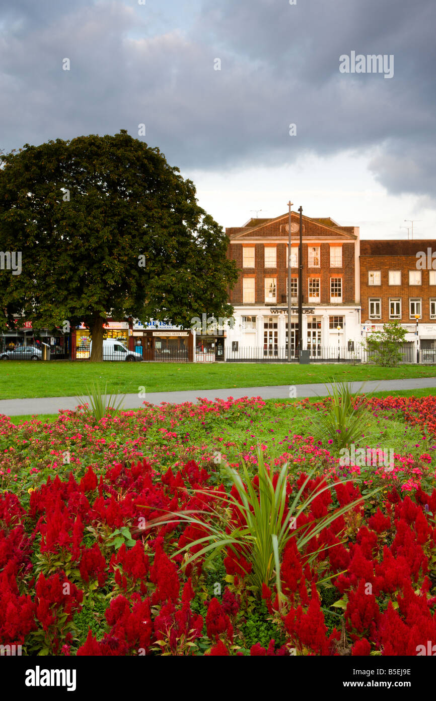 Flowers in bloom in Watts Park Southampton City Centre Hampshire England Stock Photo