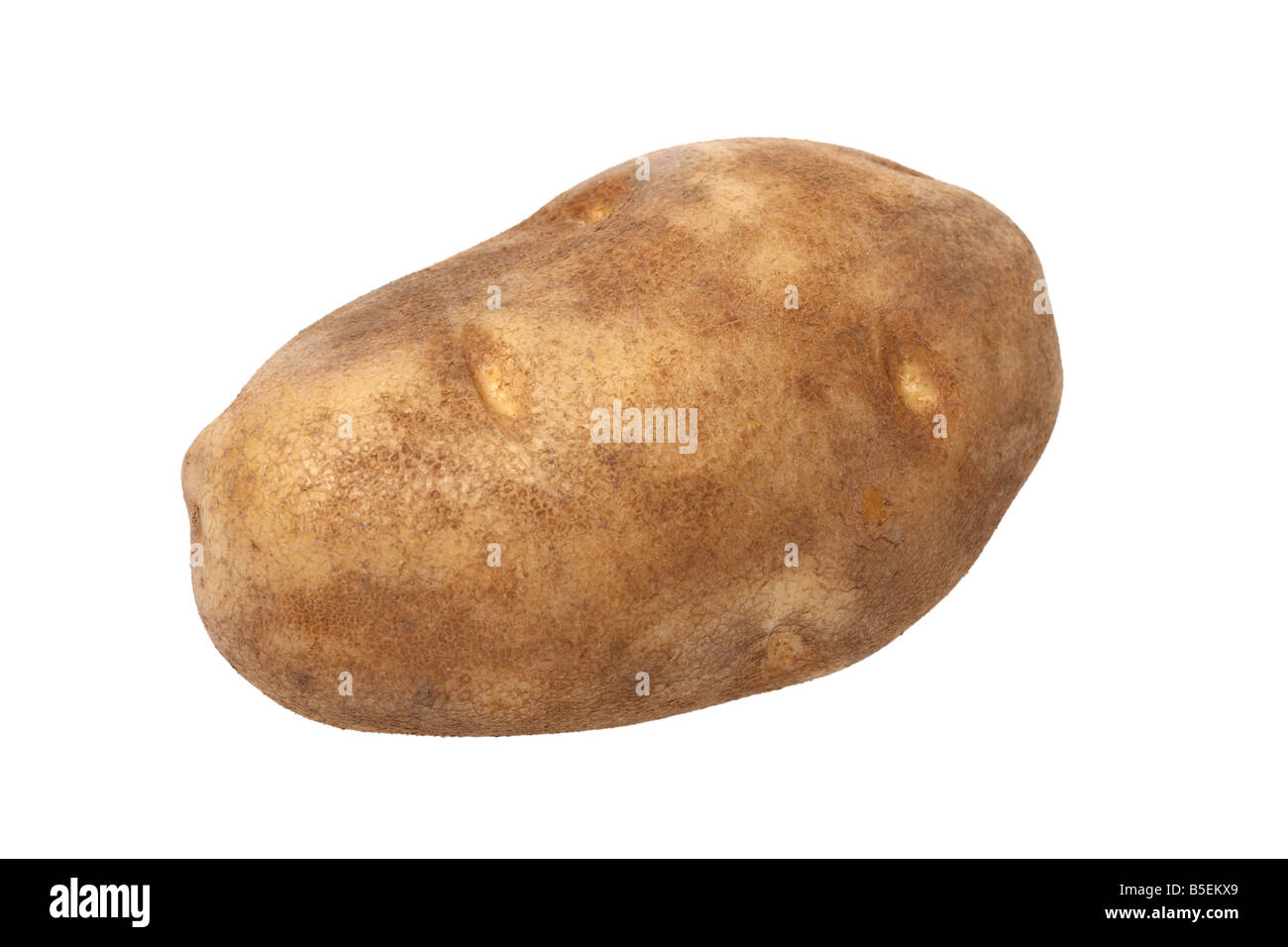 Potato cutout on white background Stock Photo