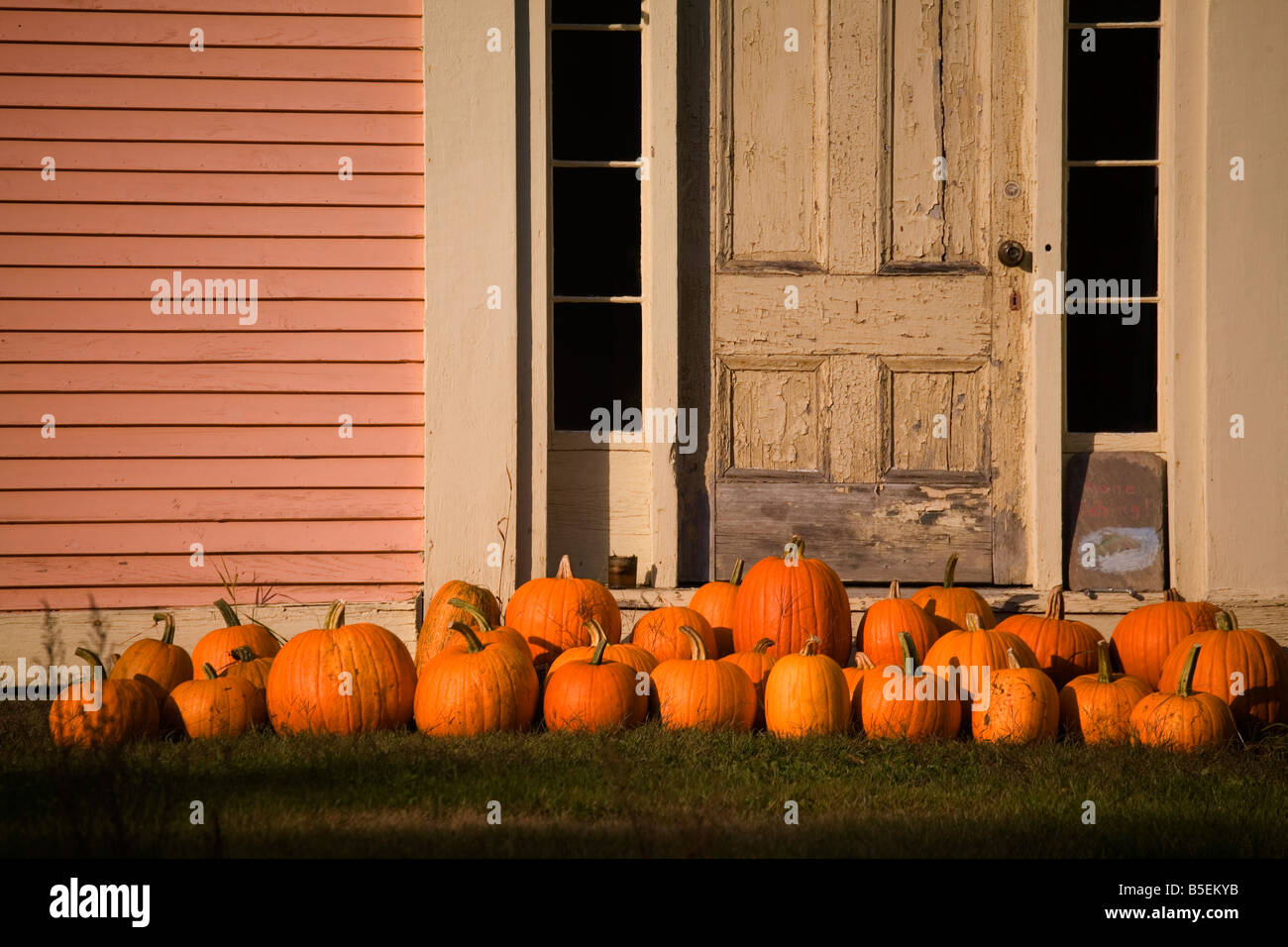 A group of pumpkins of various sizes are arranged on the grass in front of the front door of a country home. Stock Photo