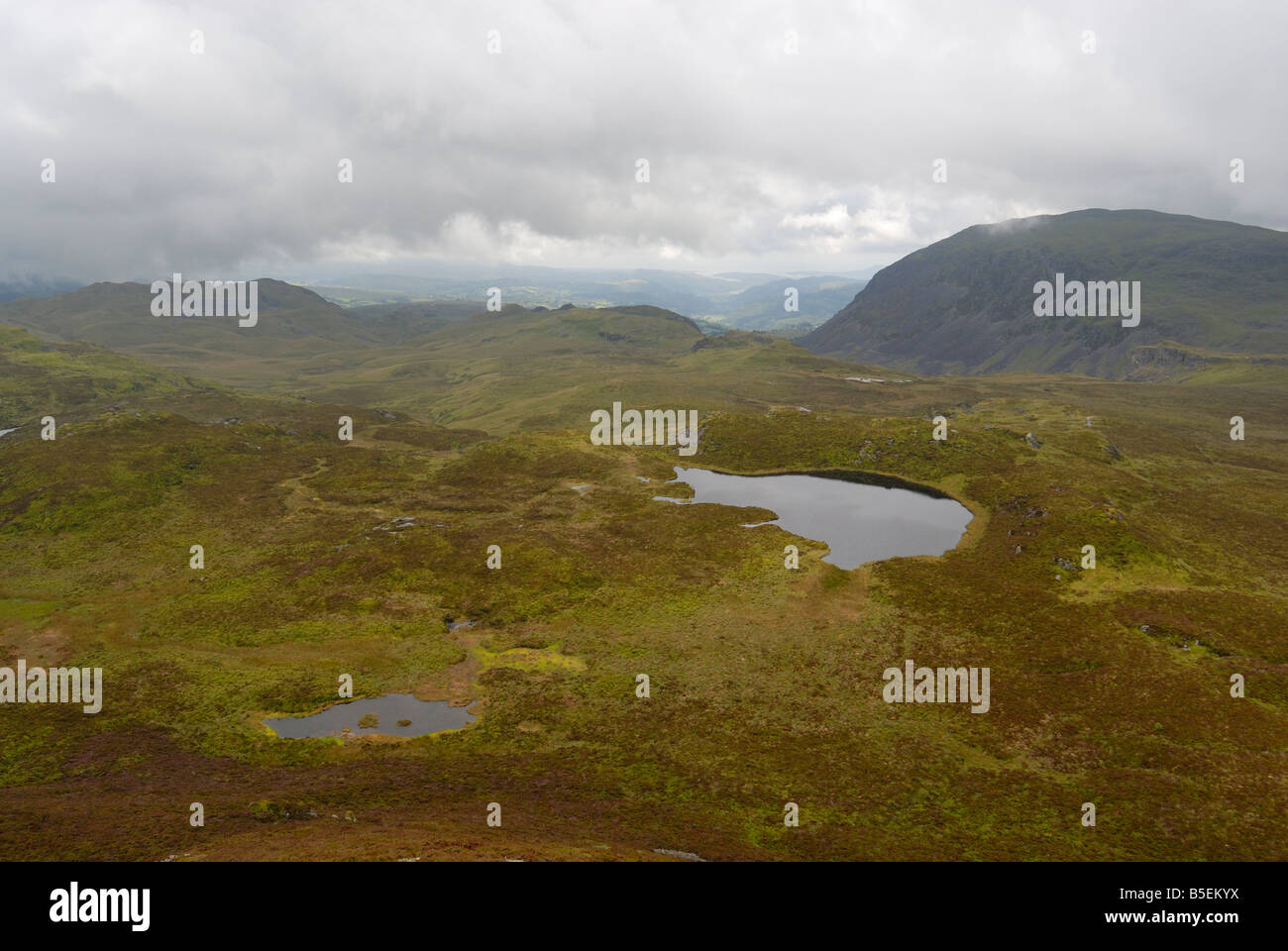 Migneint, a Welsh upland habitat area in North Wales, a special area of