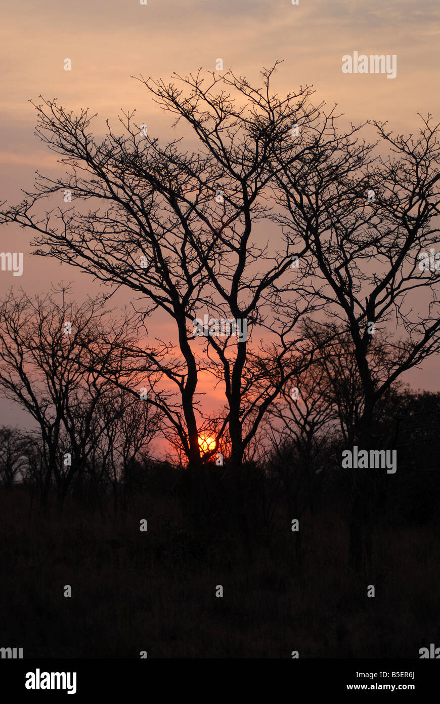 Sun sets in the Waterberg Reserve in South Africa. EvaLotta Jansson