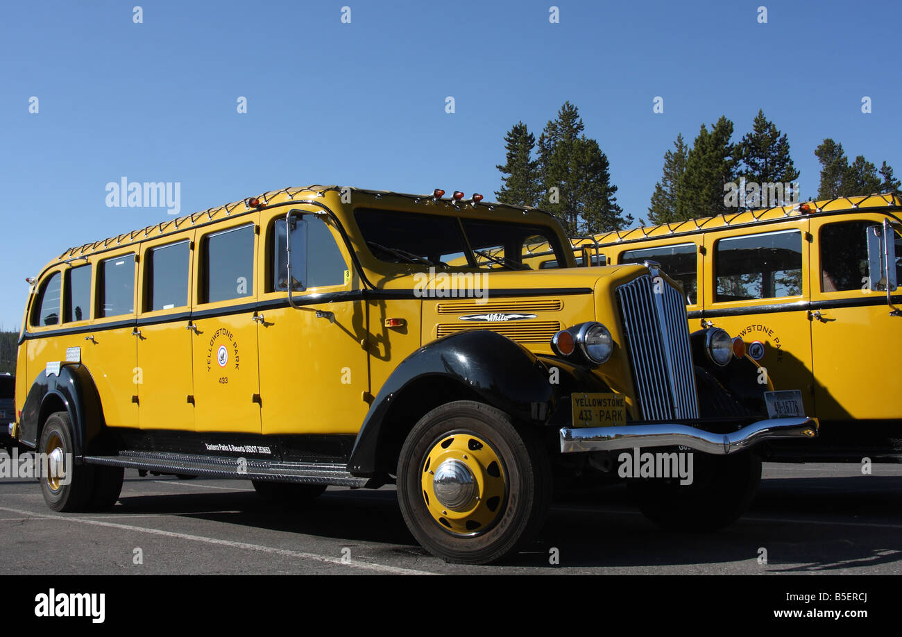 Yellowstone Bus Tours 2024 Kate Agretha
