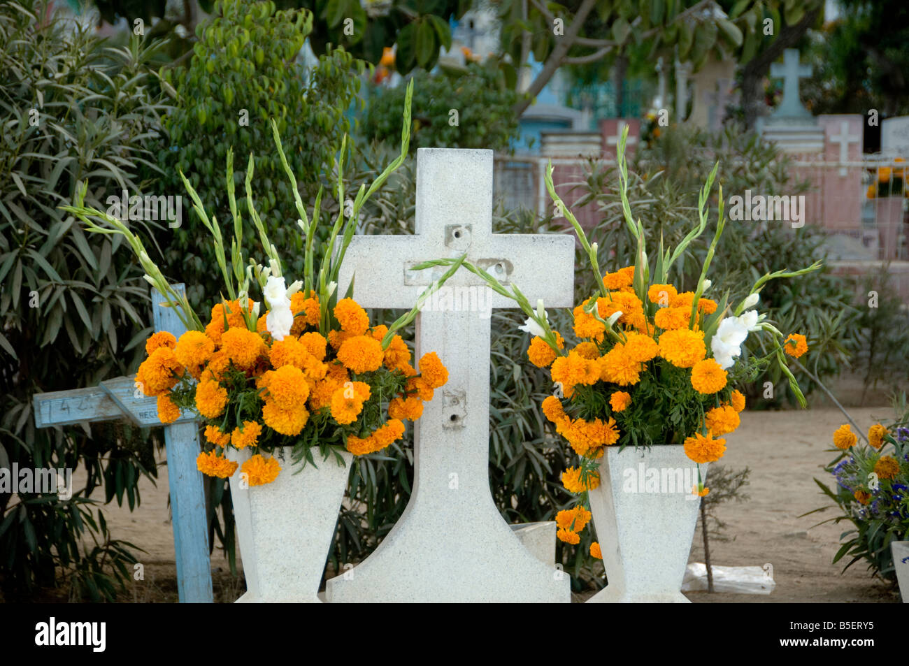 Day of the Dead in Tijuana, Mexico Stock Photo