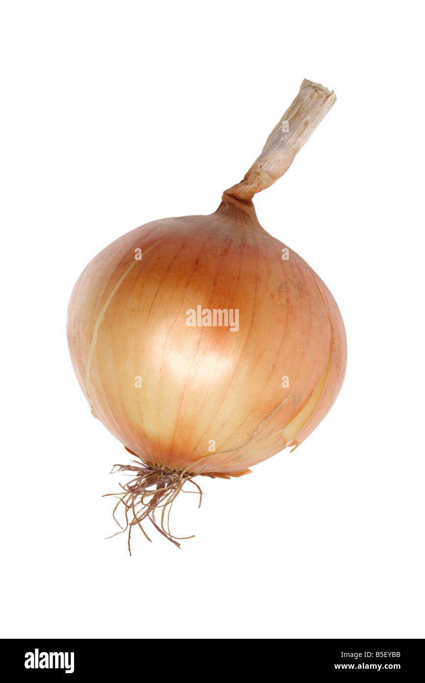 Raw onion cutout on white background Stock Photo - Alamy