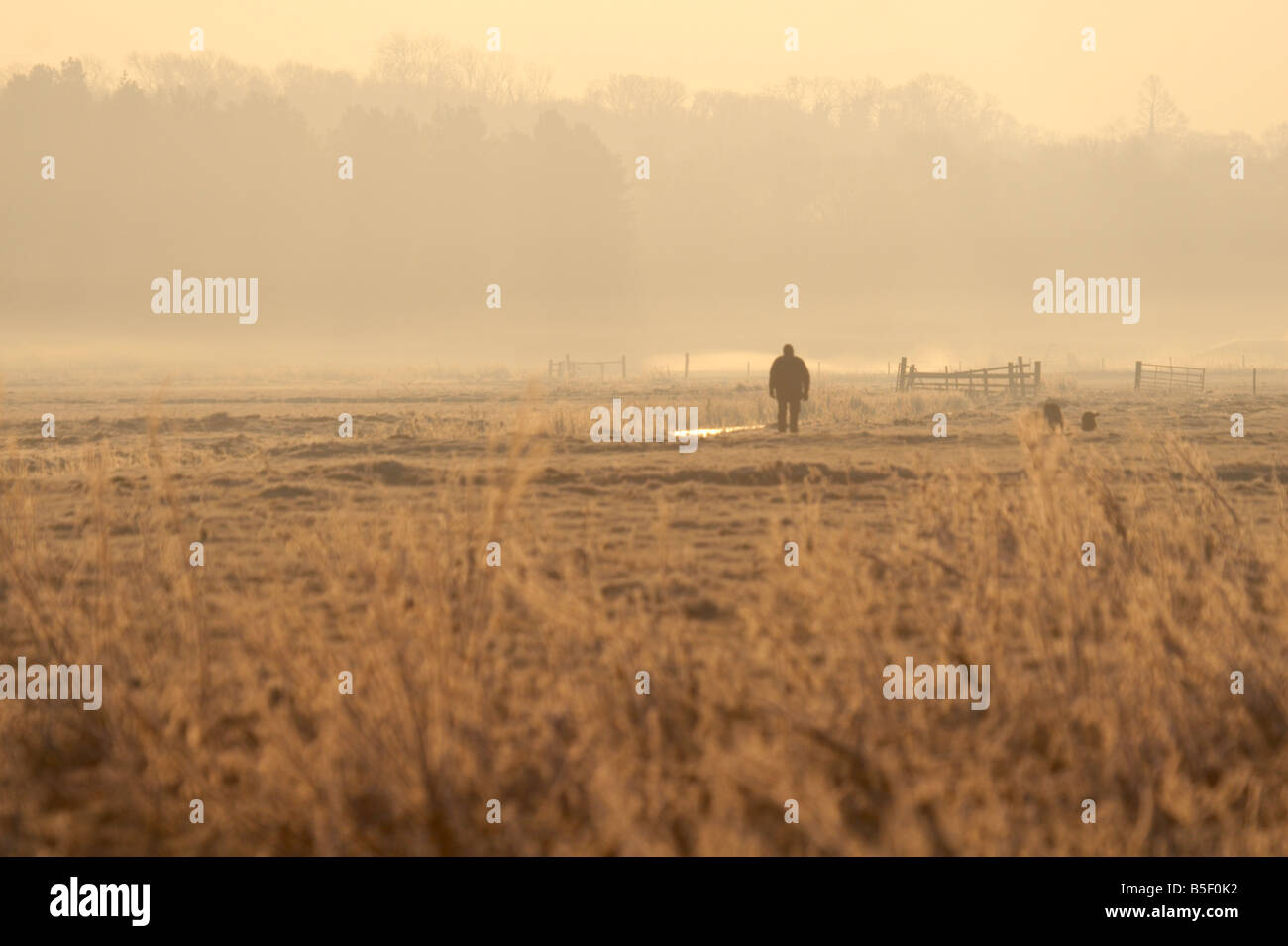 Man walking his dog in the early morning mist on a meadow in the