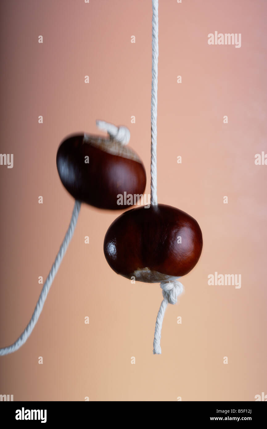 A game of Conkers Stock Photo