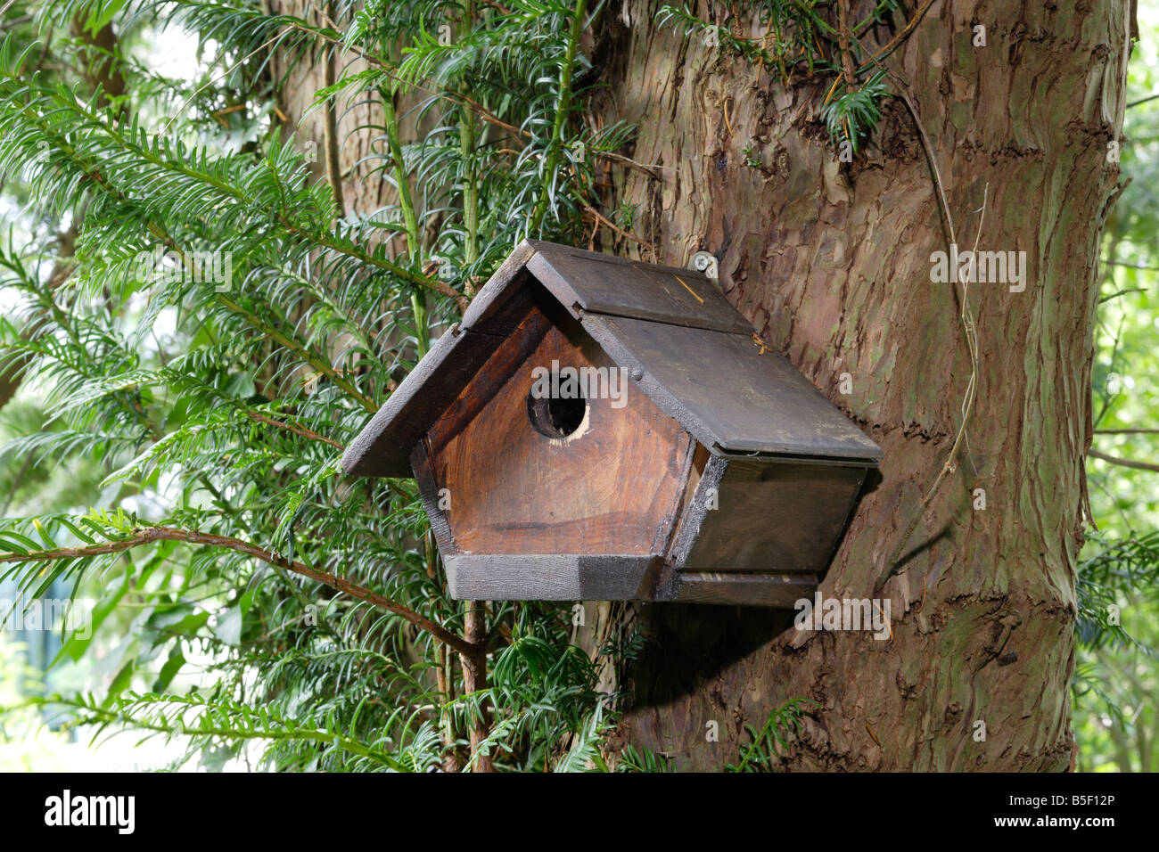 Bird box nesting box Stock Photo Alamy