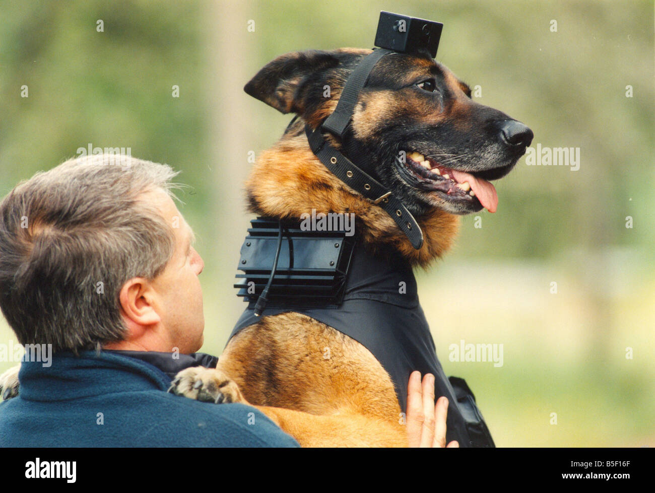 Dog Collar Video Camera atelieryuwa.ciao.jp