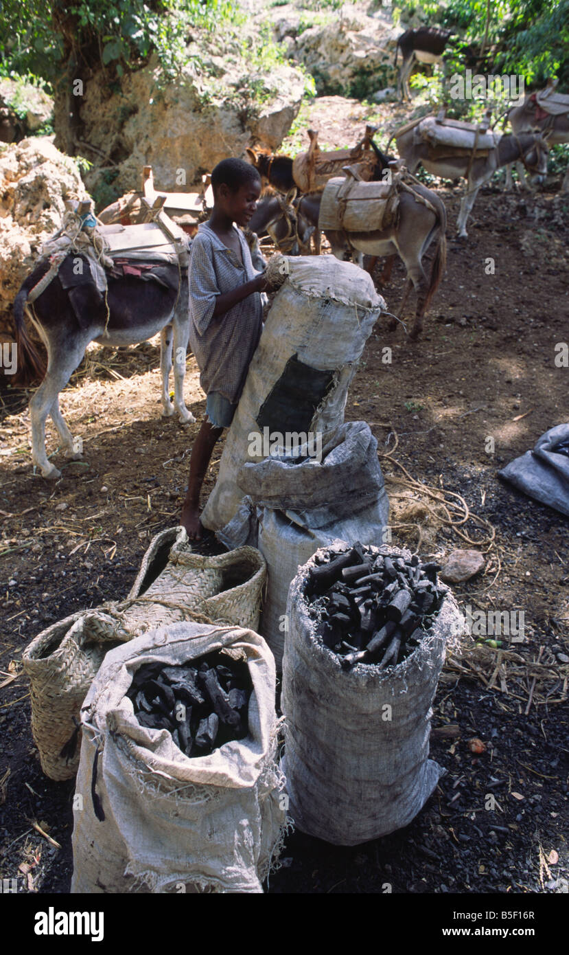Haiti la gonave hires stock photography and images Alamy