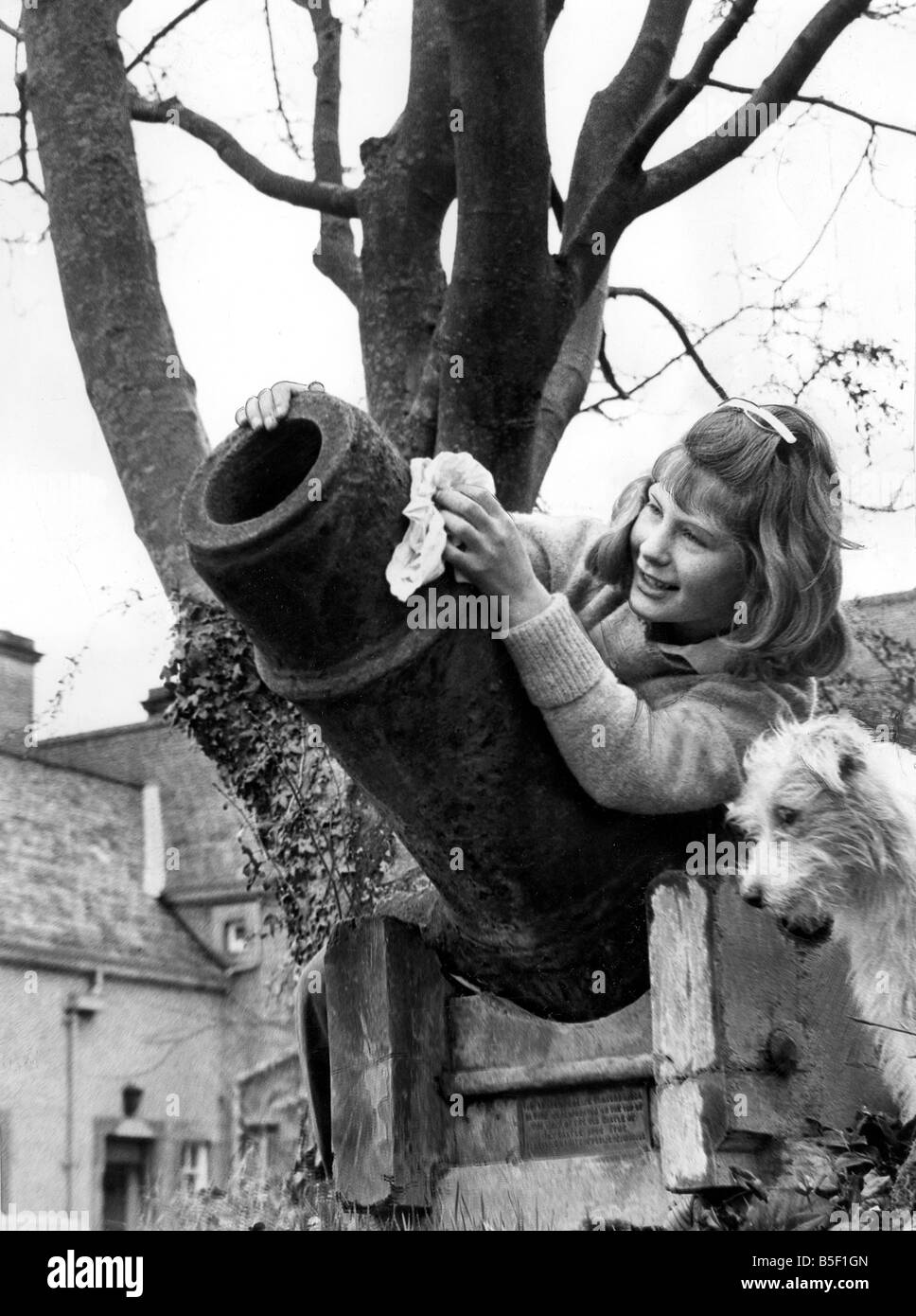 The little girl polishes up a piece of history The ancient cannon on which 10 year old Joan Elliott is working watched by her dog Sport is on of four which newcastle Corporation wants to restore to the city The cannon said to have been captured at the battle of flodden in 1513 vanished from newcastle Keep 58 years ago They were found recently at hethpool House near Wooler once the home of Sir Arthur Sutherland who was Lord Mayor of Newcastle in 1918 Stock Photo