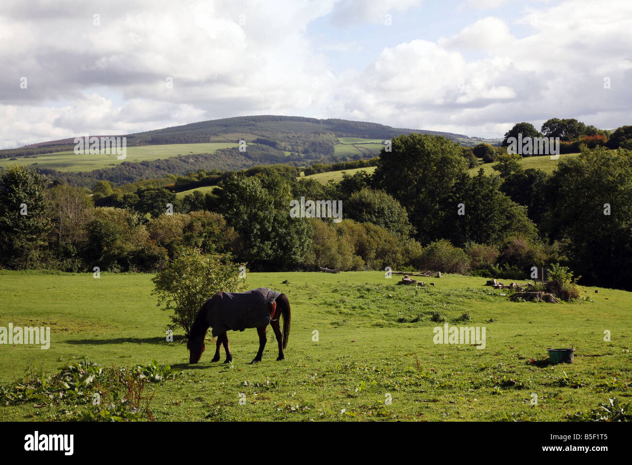 A lovely view of Exmoor from the roadside near Wootton Courtenay, an ideal area for pony trekking Stock Photo