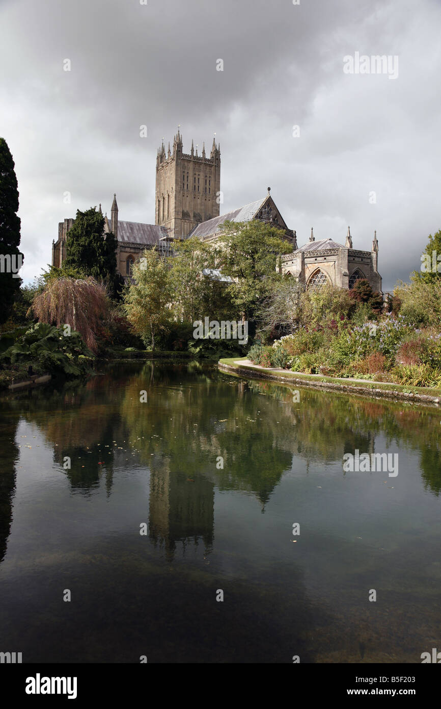 Wells Cathedral reflected in the wells, from which the city gets its name, inside the grounds of the Bishops Palace Stock Photo