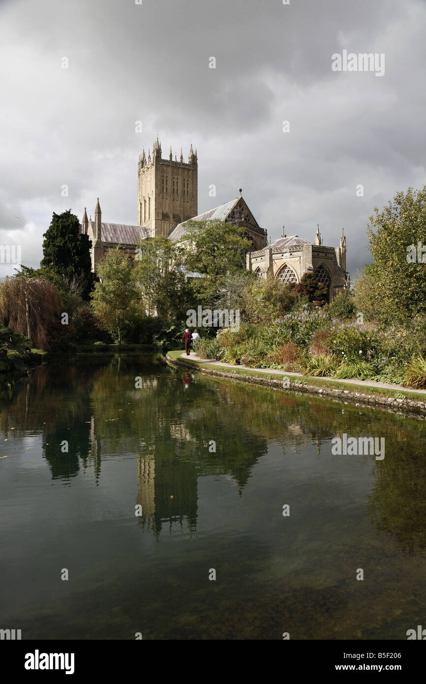 Wells Cathedral reflected in the wells, from which the city gets its name, inside the grounds of the Bishops Palace Stock Photo
