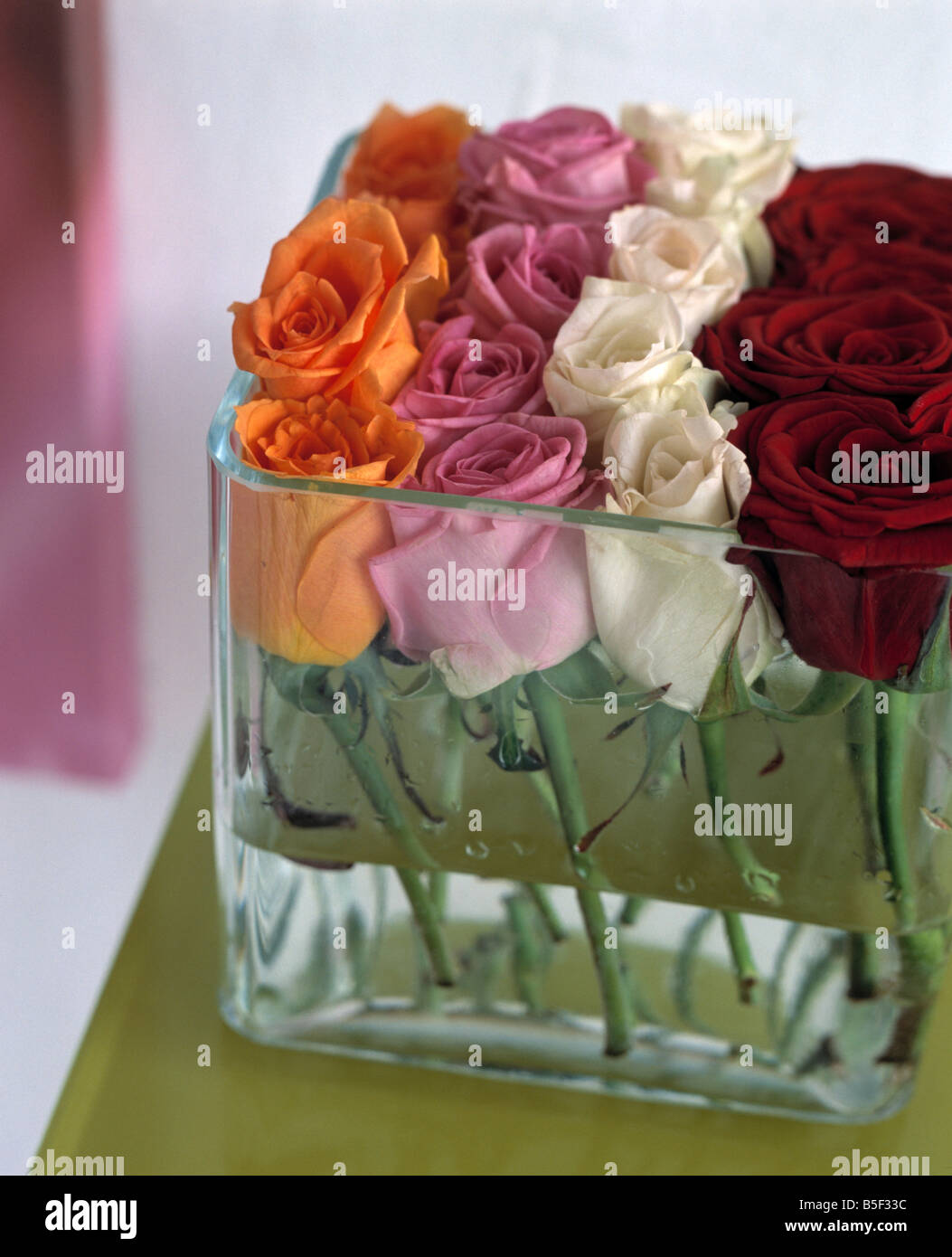 Close-up of multi-coloured roses in square glass vase Stock Photo - Alamy