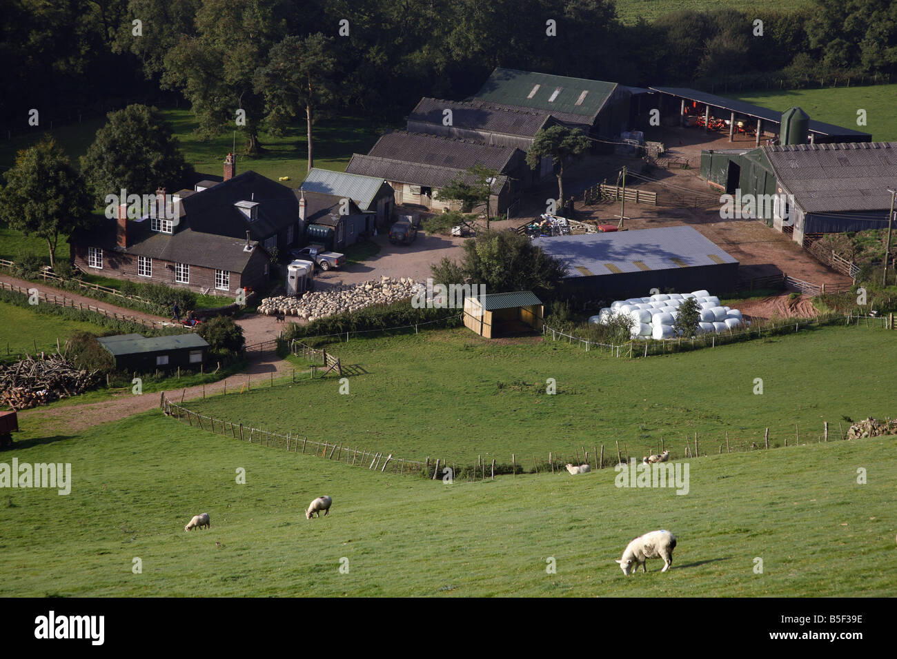 Exmoor farm hires stock photography and images Alamy