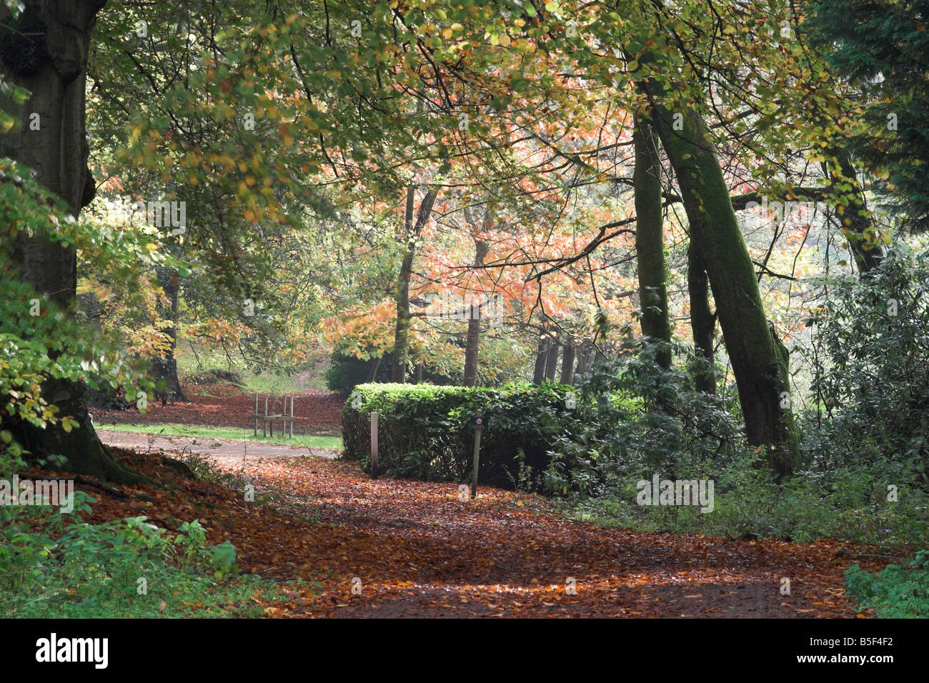 Shearwater longleat estate hires stock photography and images Alamy