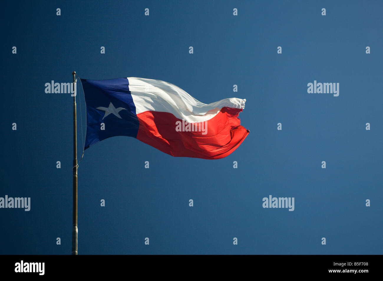 Texas flag flying in breeze Stock Photo Alamy