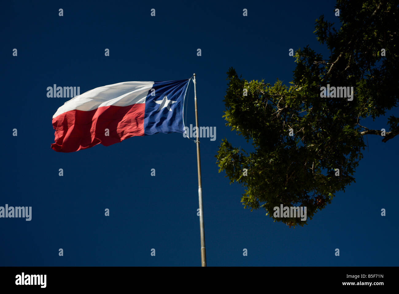 Texas flag flying in breeze Stock Photo Alamy