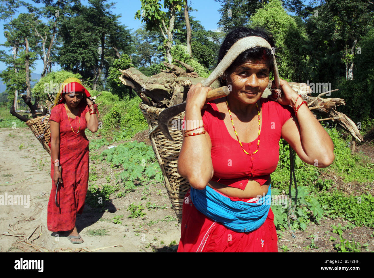 Nepal, woman carry firewood in her baskets Stock Photo