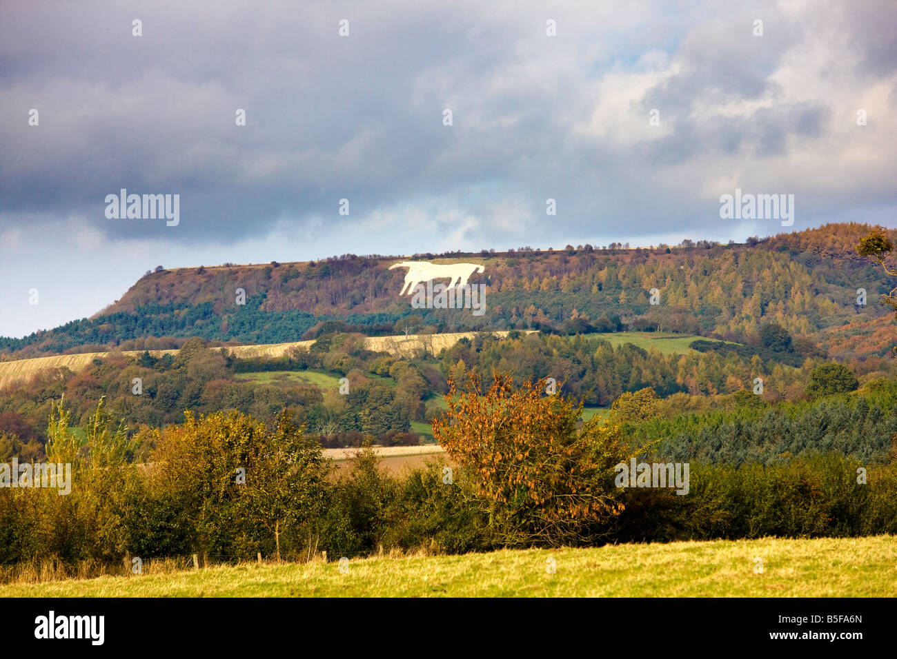 The Kilburn White Horse at Autumn North Yorkshire Stock Photo Alamy