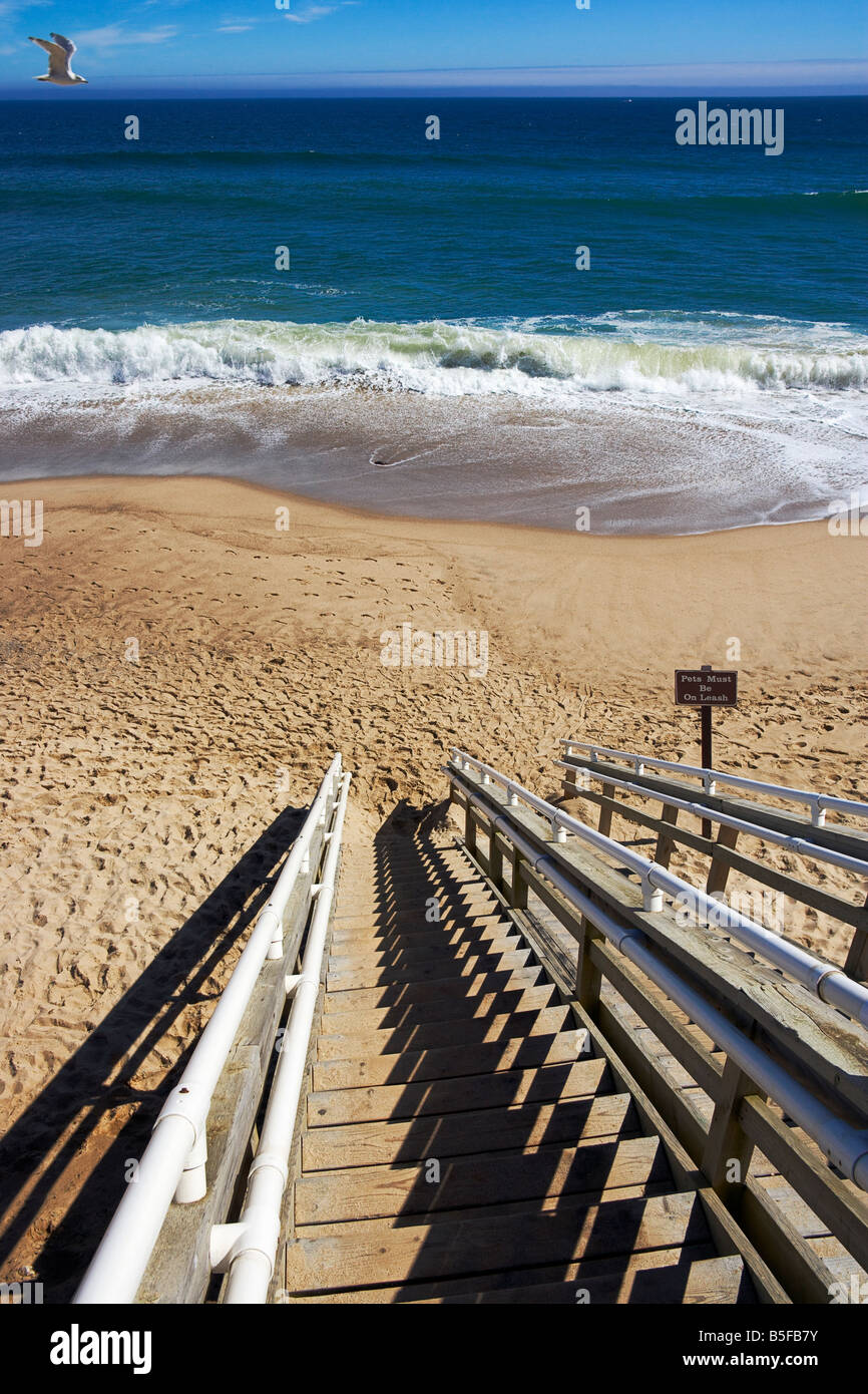 Stairs leading down to Beach Coast Guard Beach Cape Cod National Stock