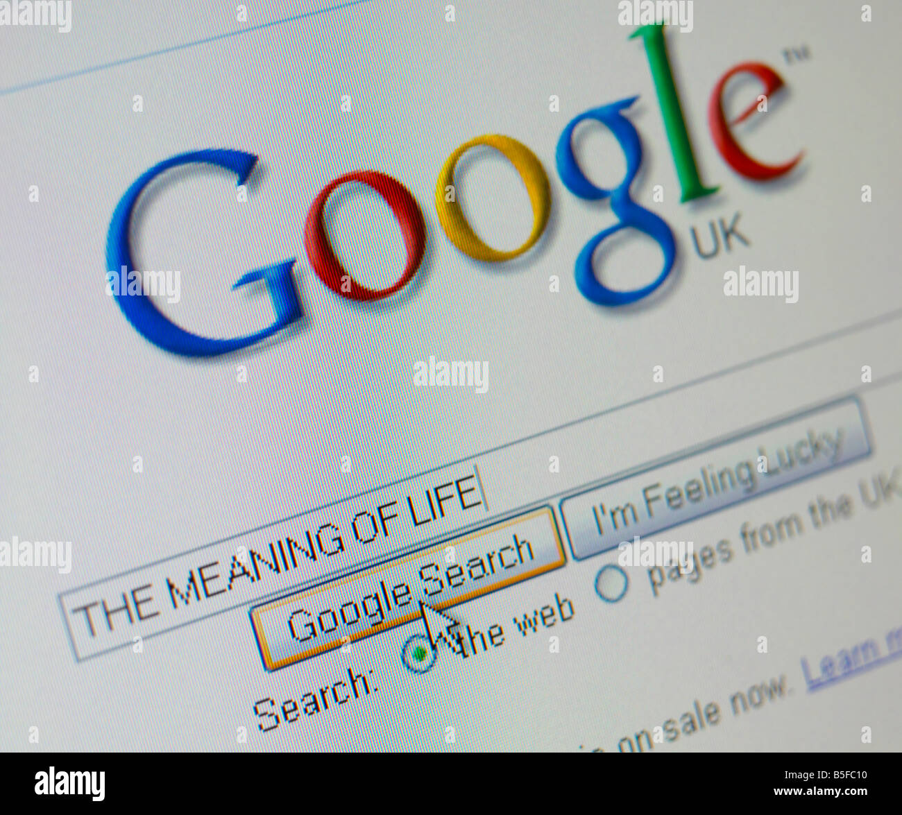 COMPUTER SCREEN WEB SITE GOOGLE SEARCH FOR THE MEANING OF LIFE Stock Photo